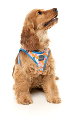 Fresh Zest - Dog Step In Harness