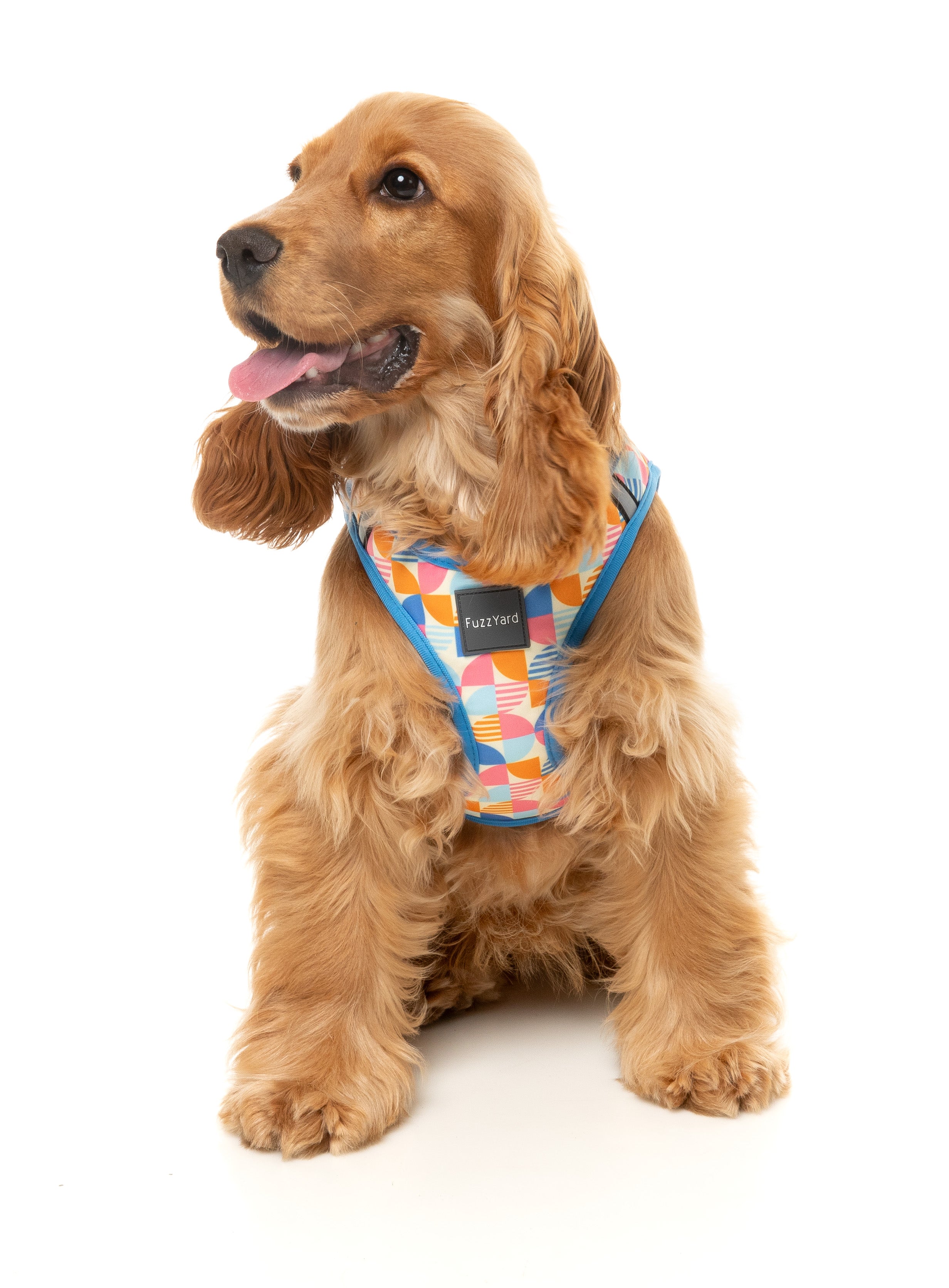 Fresh Zest - Dog Step In Harness