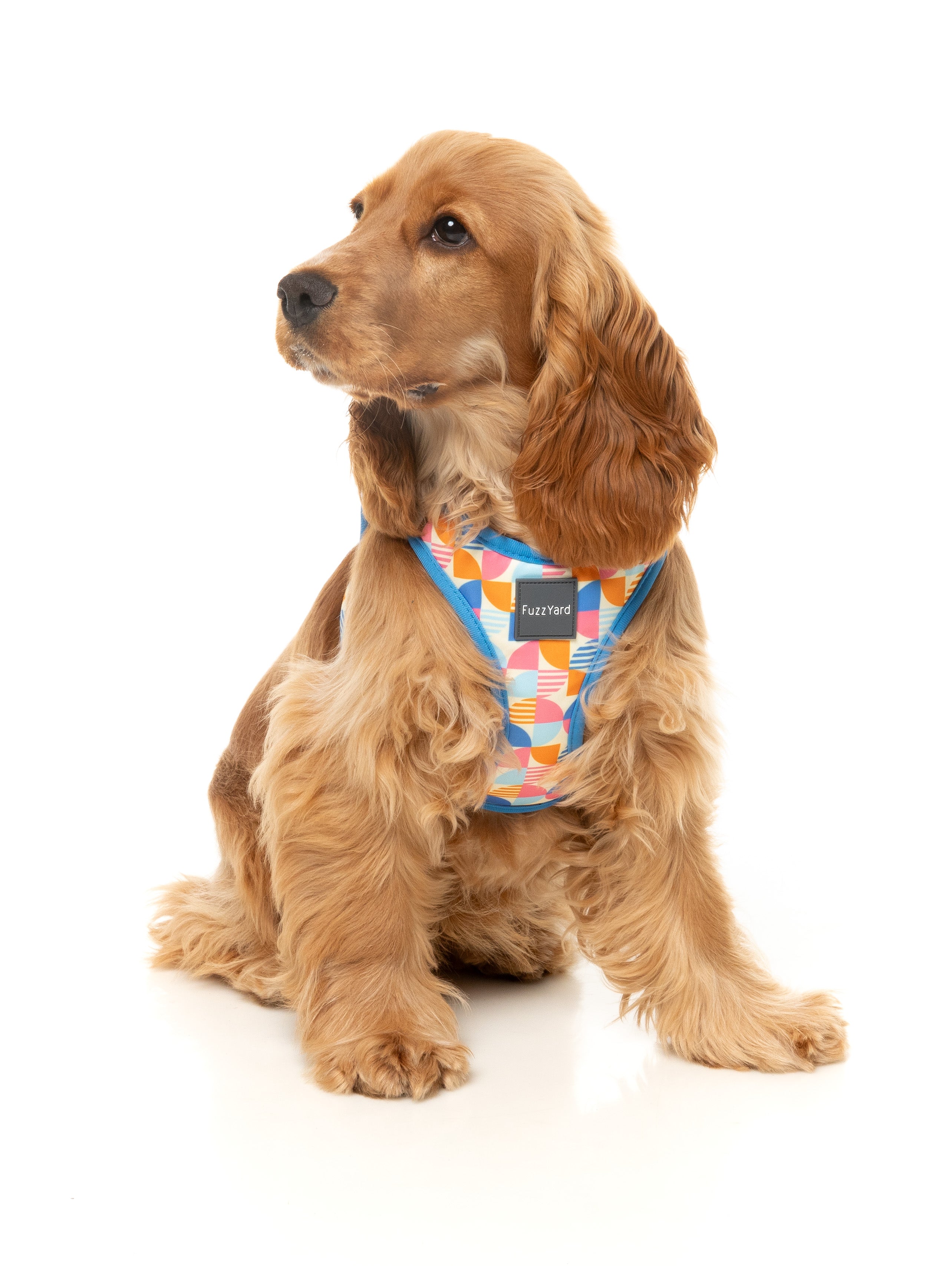 Fresh Zest - Dog Step In Harness