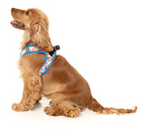 Fresh Zest - Dog Step In Harness