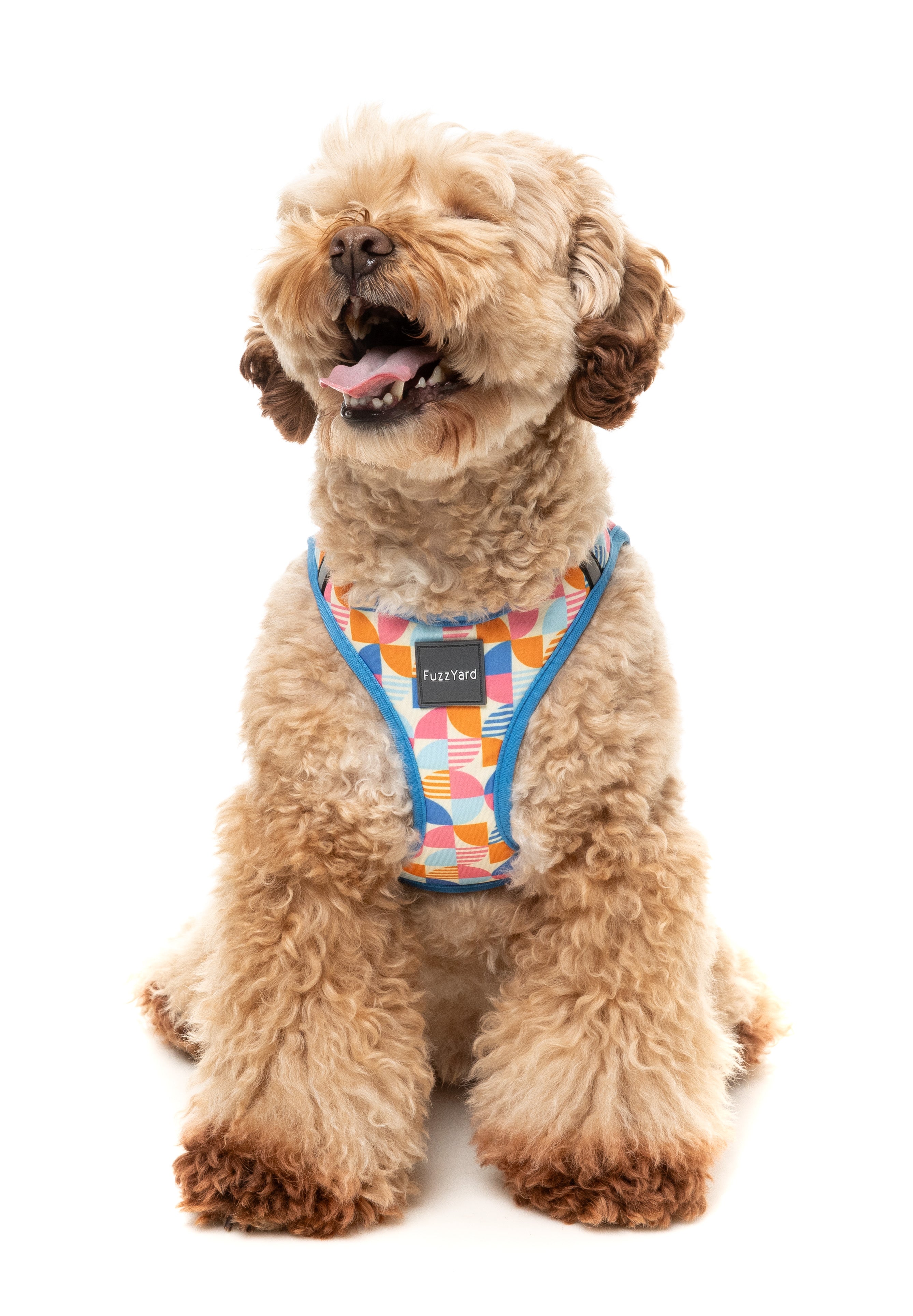 Fresh Zest - Dog Step In Harness