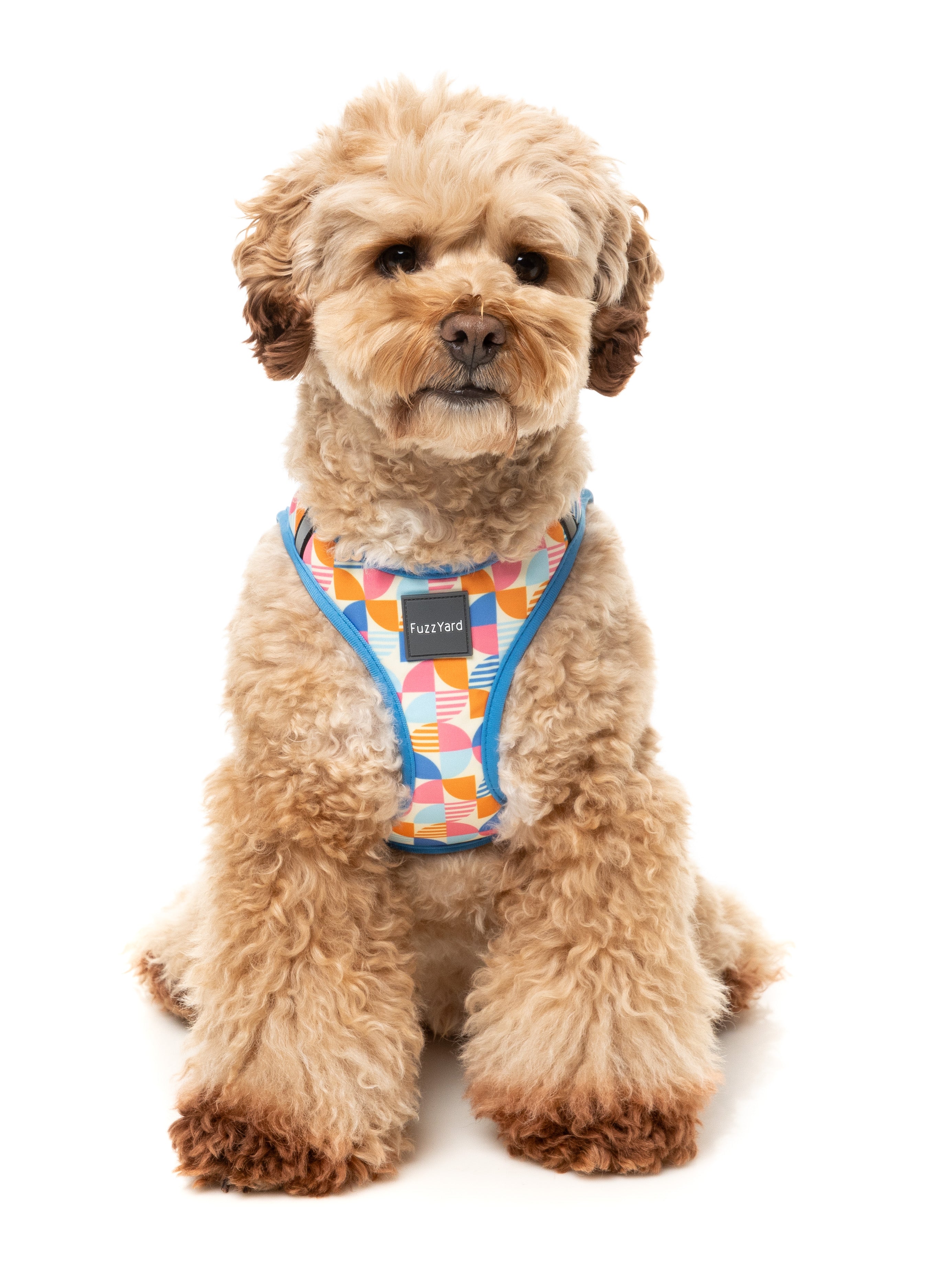 Fresh Zest - Dog Step In Harness