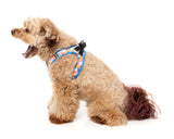 Fresh Zest - Dog Step In Harness