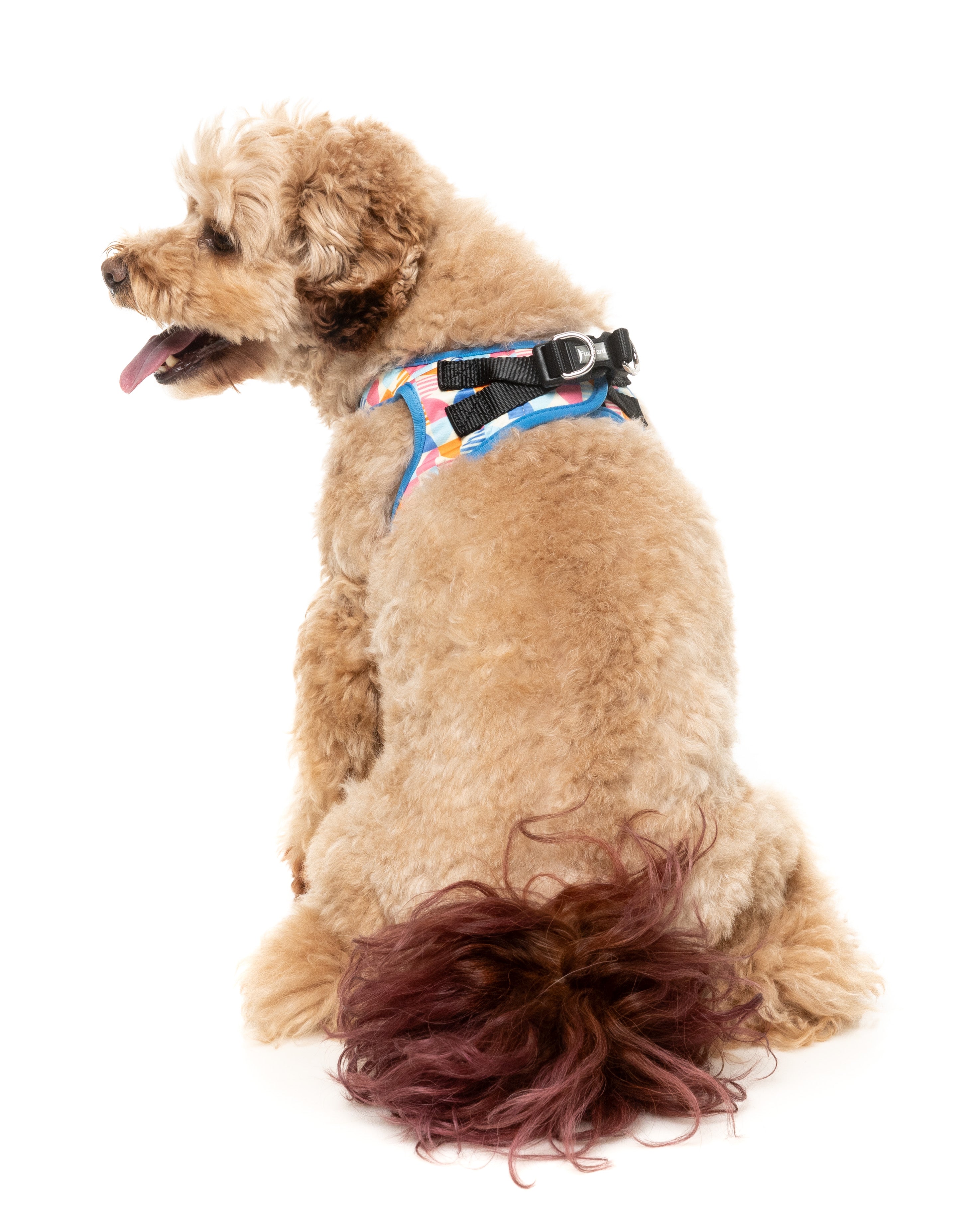 Fresh Zest - Dog Step In Harness