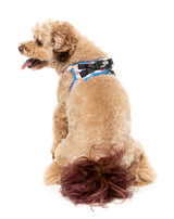 Fresh Zest - Dog Step In Harness