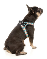 Carioca - Dog Step In Harness
