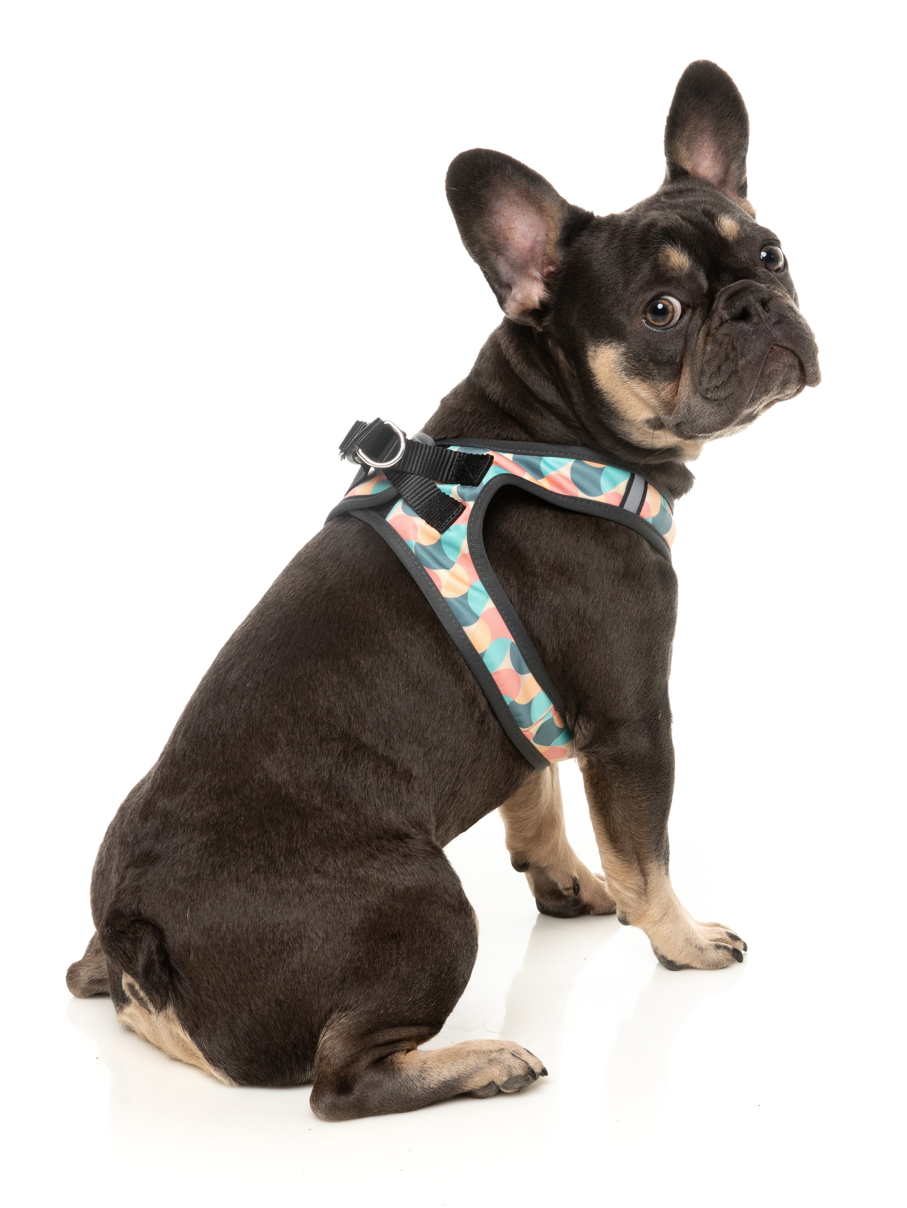 Carioca - Dog Step In Harness