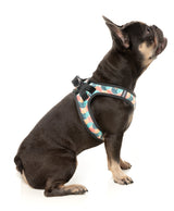 Carioca - Dog Step In Harness
