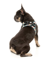 Carioca - Dog Step In Harness