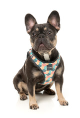 Carioca - Dog Step In Harness