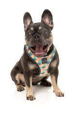 Carioca - Dog Step In Harness