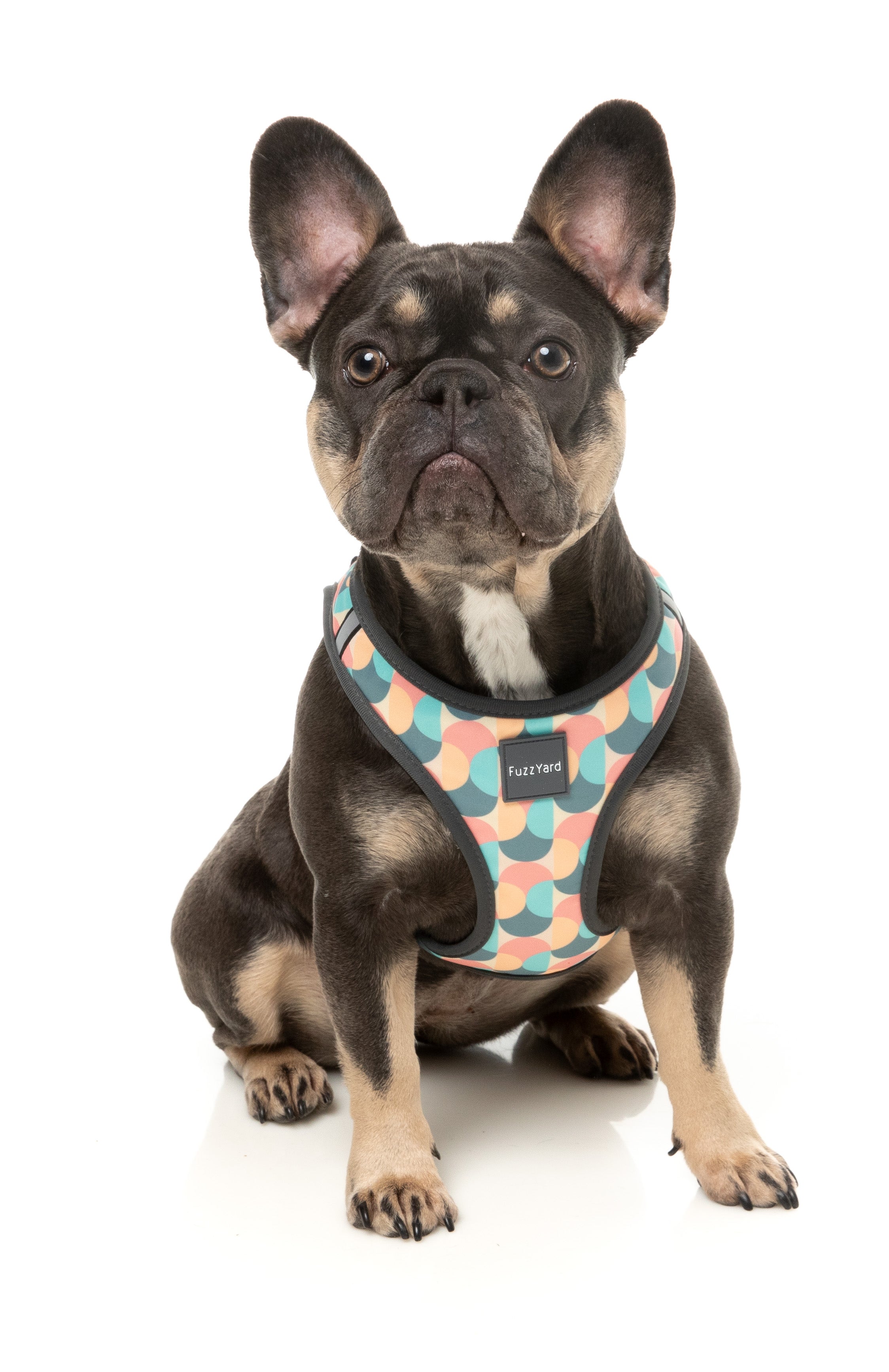 Carioca - Dog Step In Harness