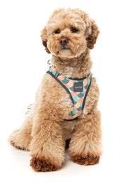 Carioca - Dog Step In Harness