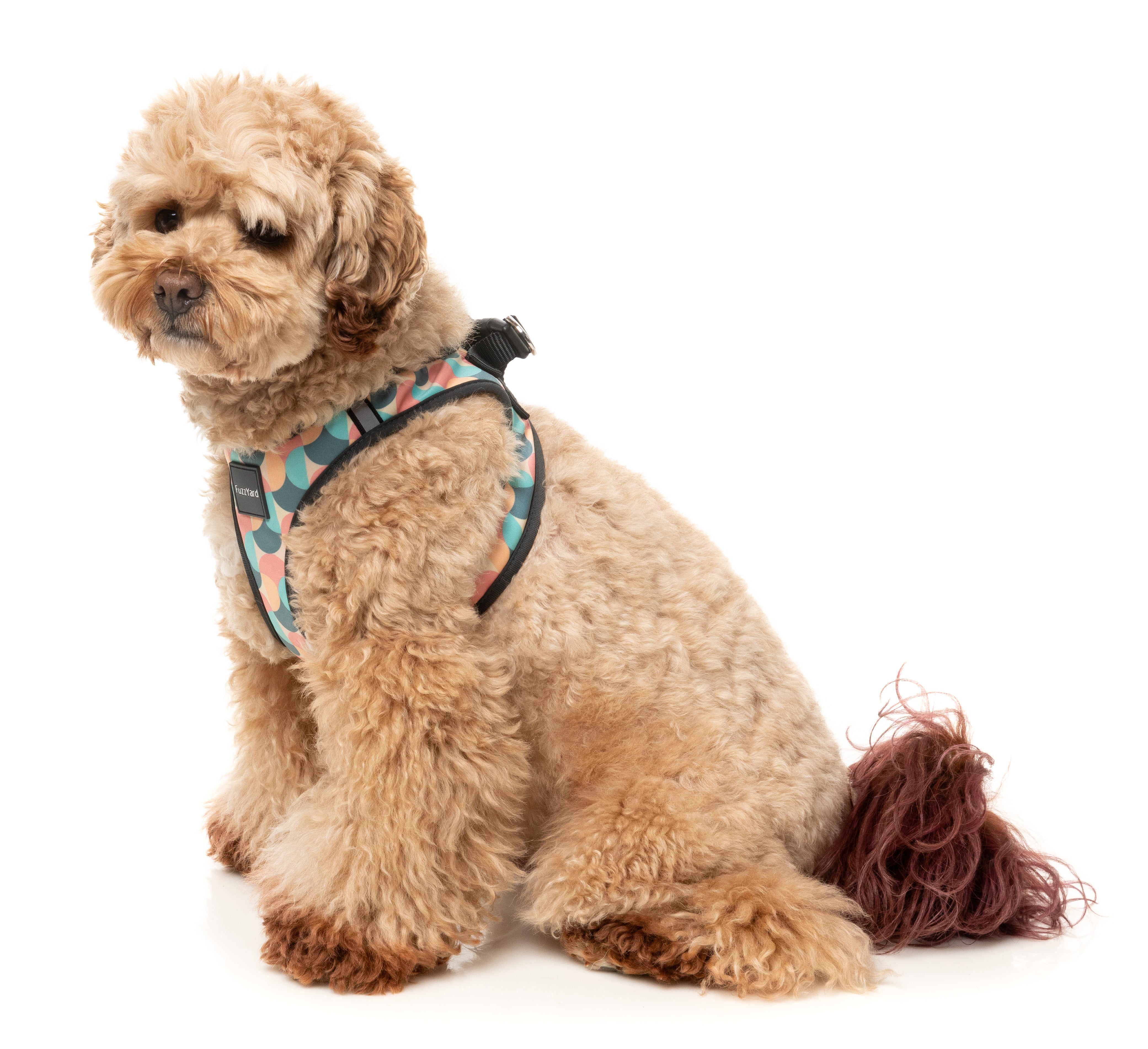 Carioca - Dog Step In Harness