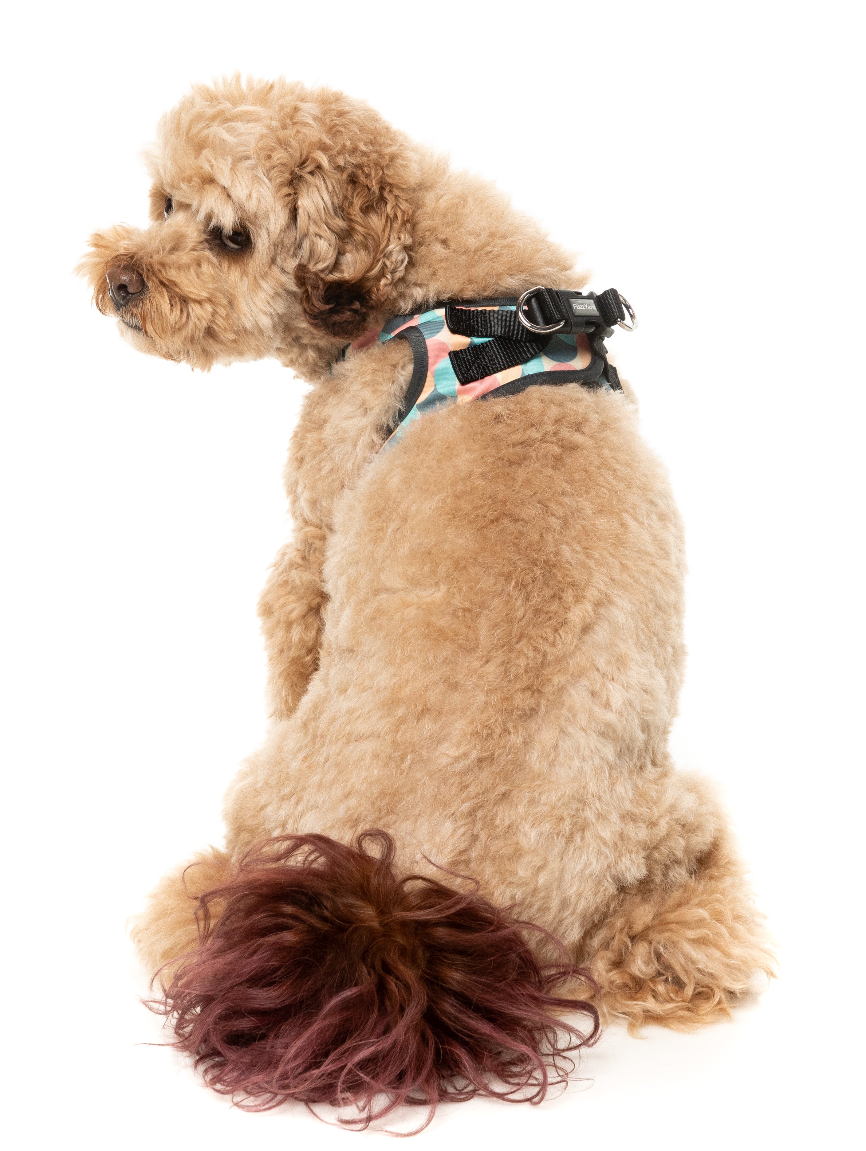 Carioca - Dog Step In Harness