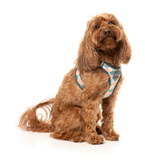 Carioca - Dog Step In Harness