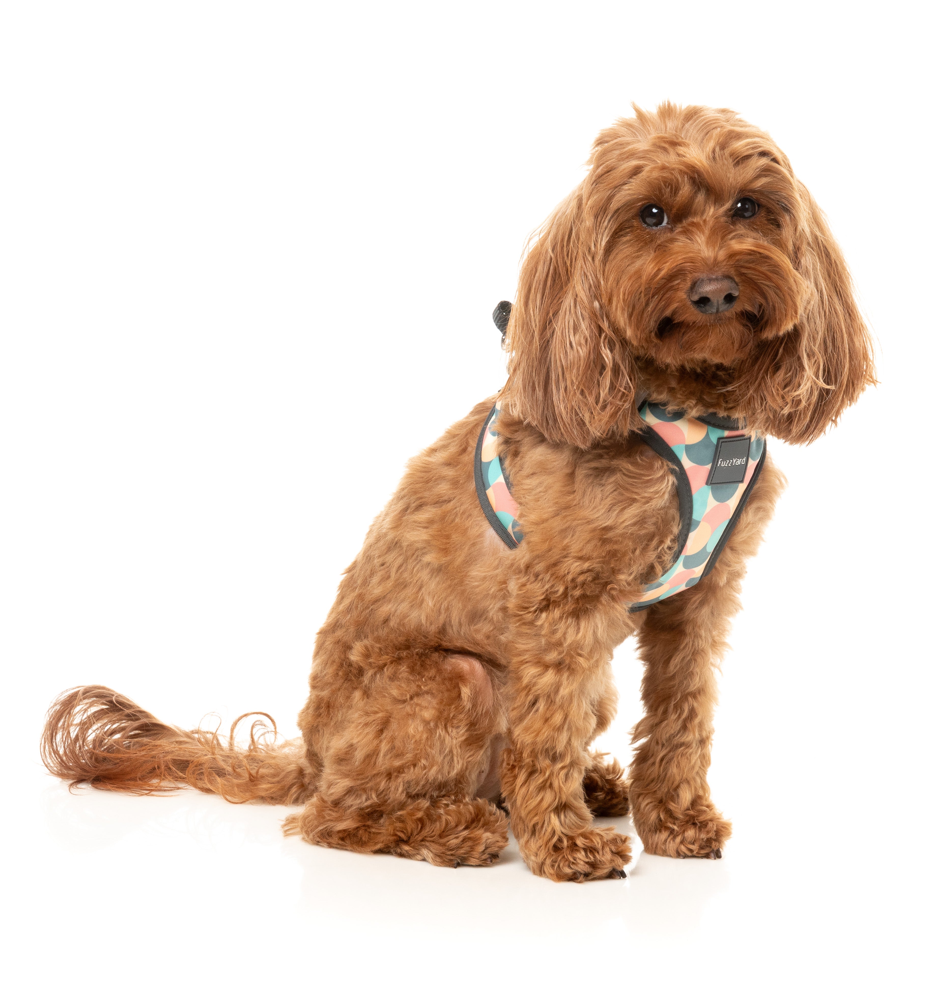 Carioca - Dog Step In Harness