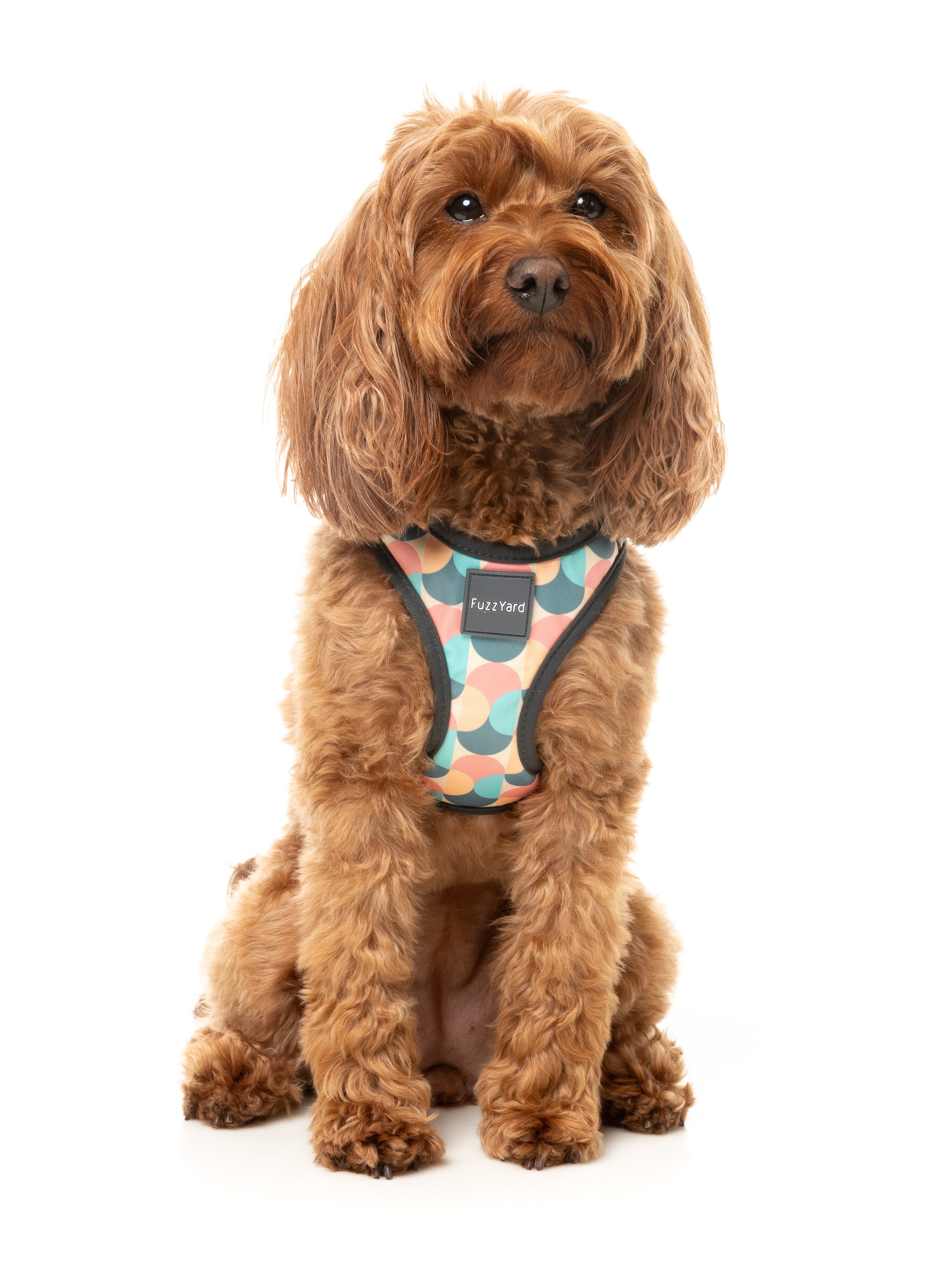 Carioca - Dog Step In Harness