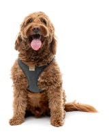 FuzzYard Life Boucle Step-In Harness - Slate Grey
