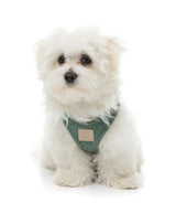 FuzzYard Life Boucle Step-In Harness - Myrtle Green