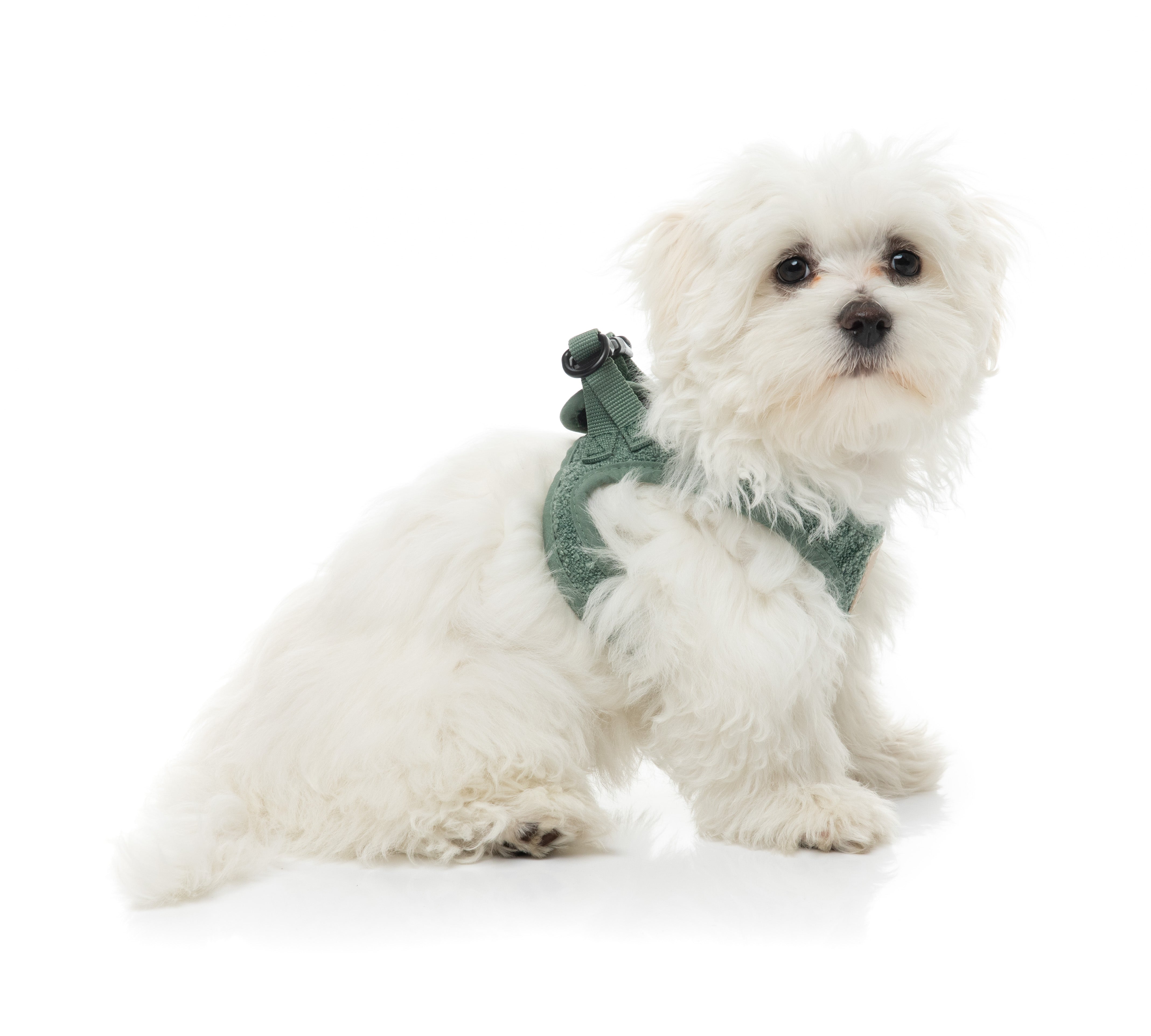 FuzzYard Life Boucle Step-In Harness - Myrtle Green