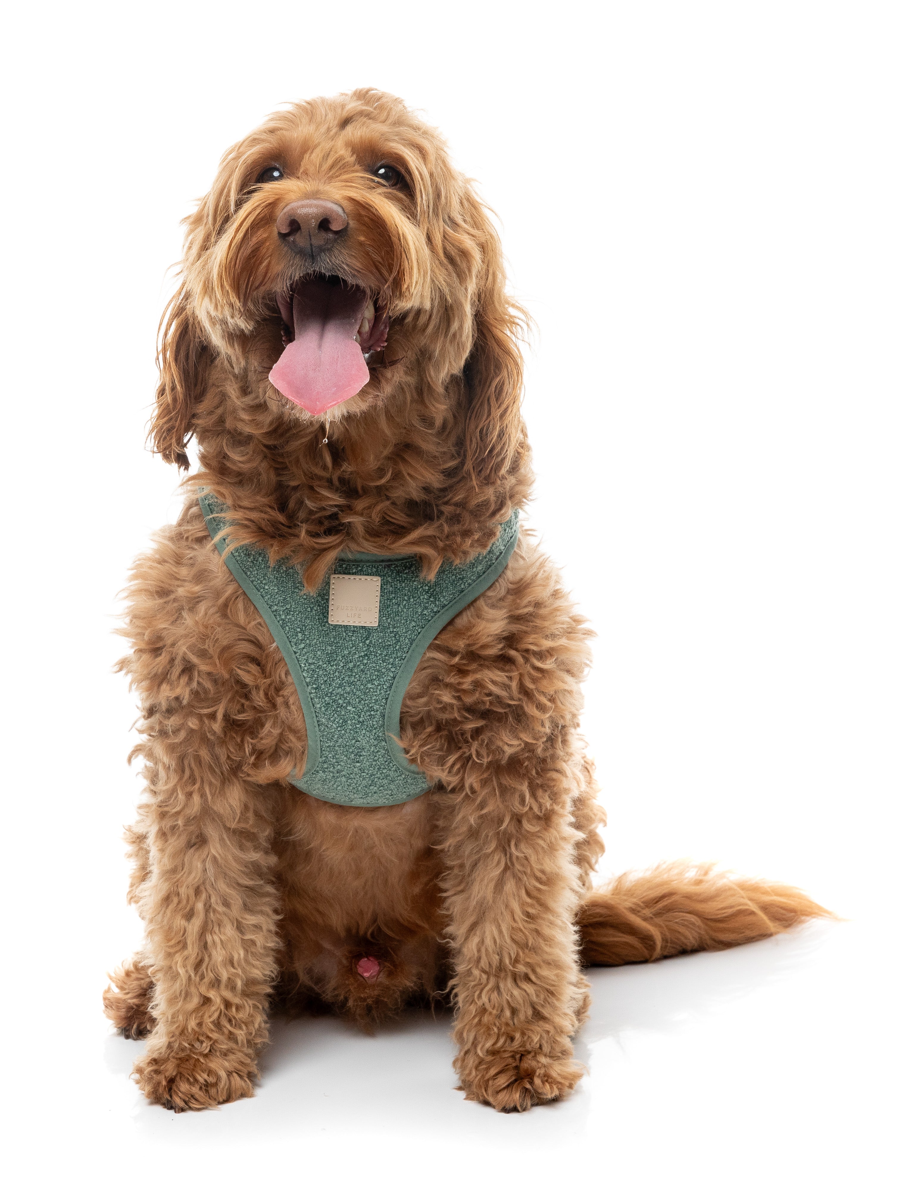 FuzzYard Life Boucle Step-In Harness - Myrtle Green