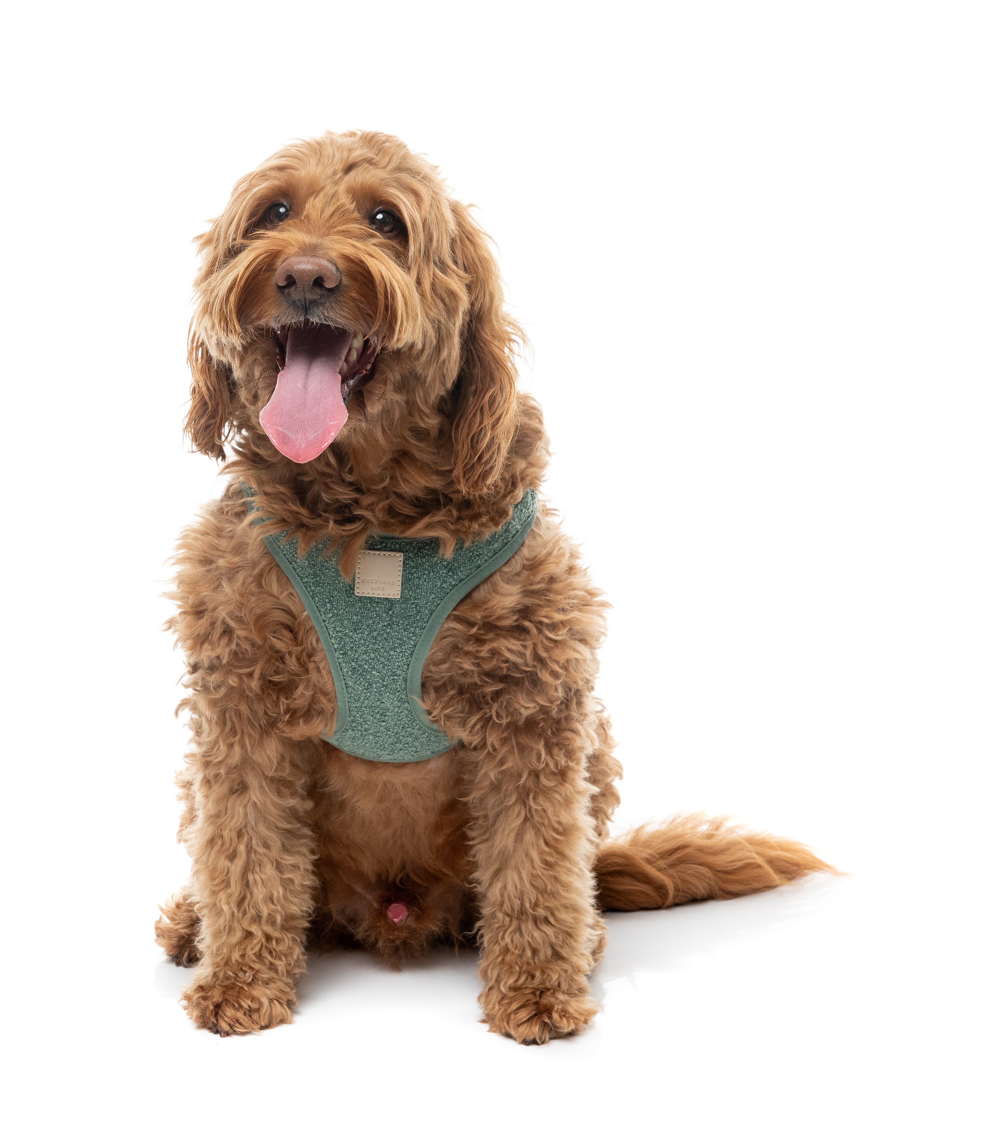 FuzzYard Life Boucle Step-In Harness - Myrtle Green