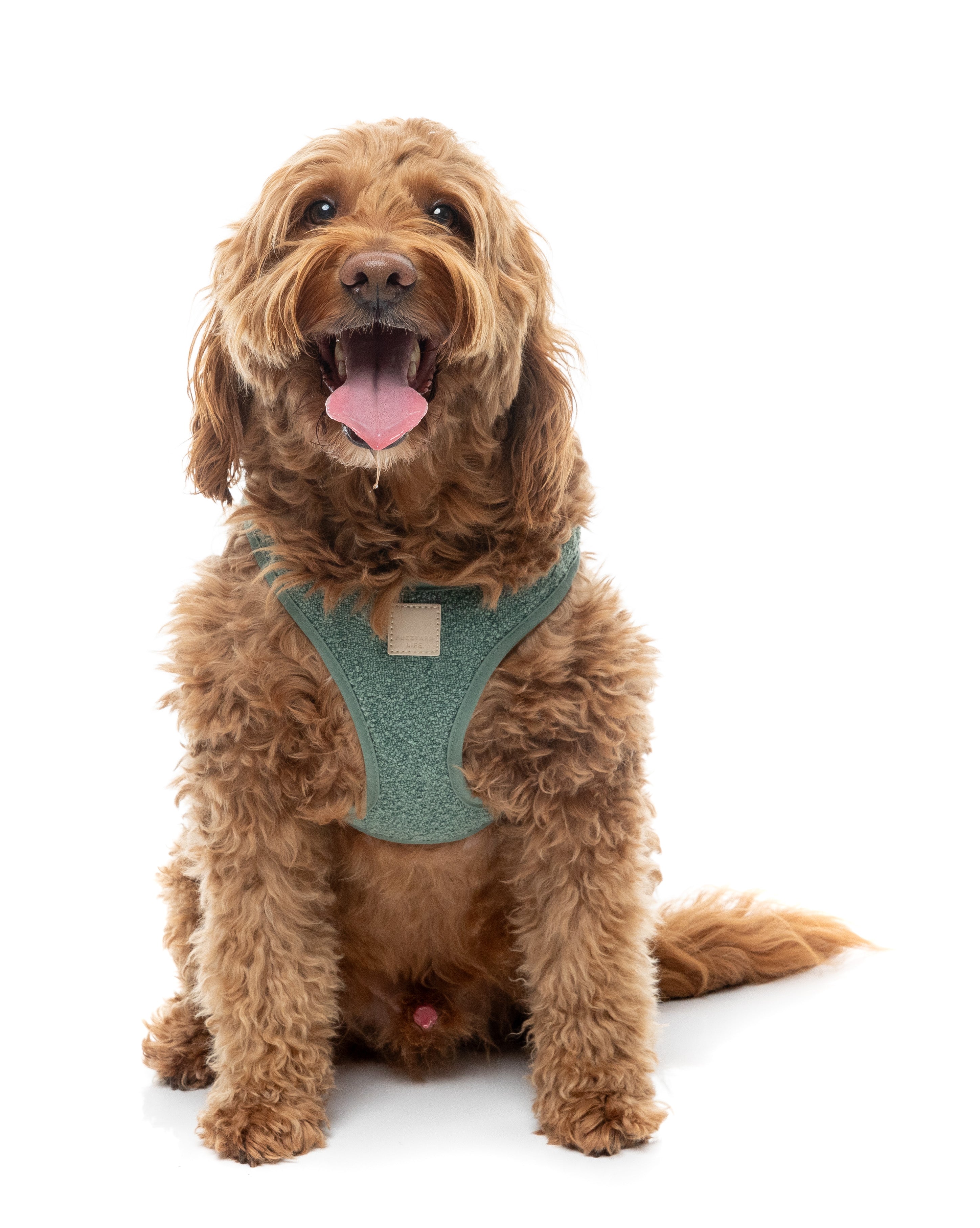 FuzzYard Life Boucle Step-In Harness - Myrtle Green