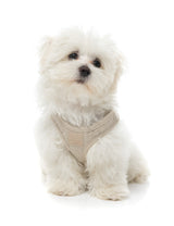FuzzYard Life Boucle Step-In Harness - Sandstone