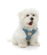 FuzzYard Life Boucle Step-In Harness - French Blue