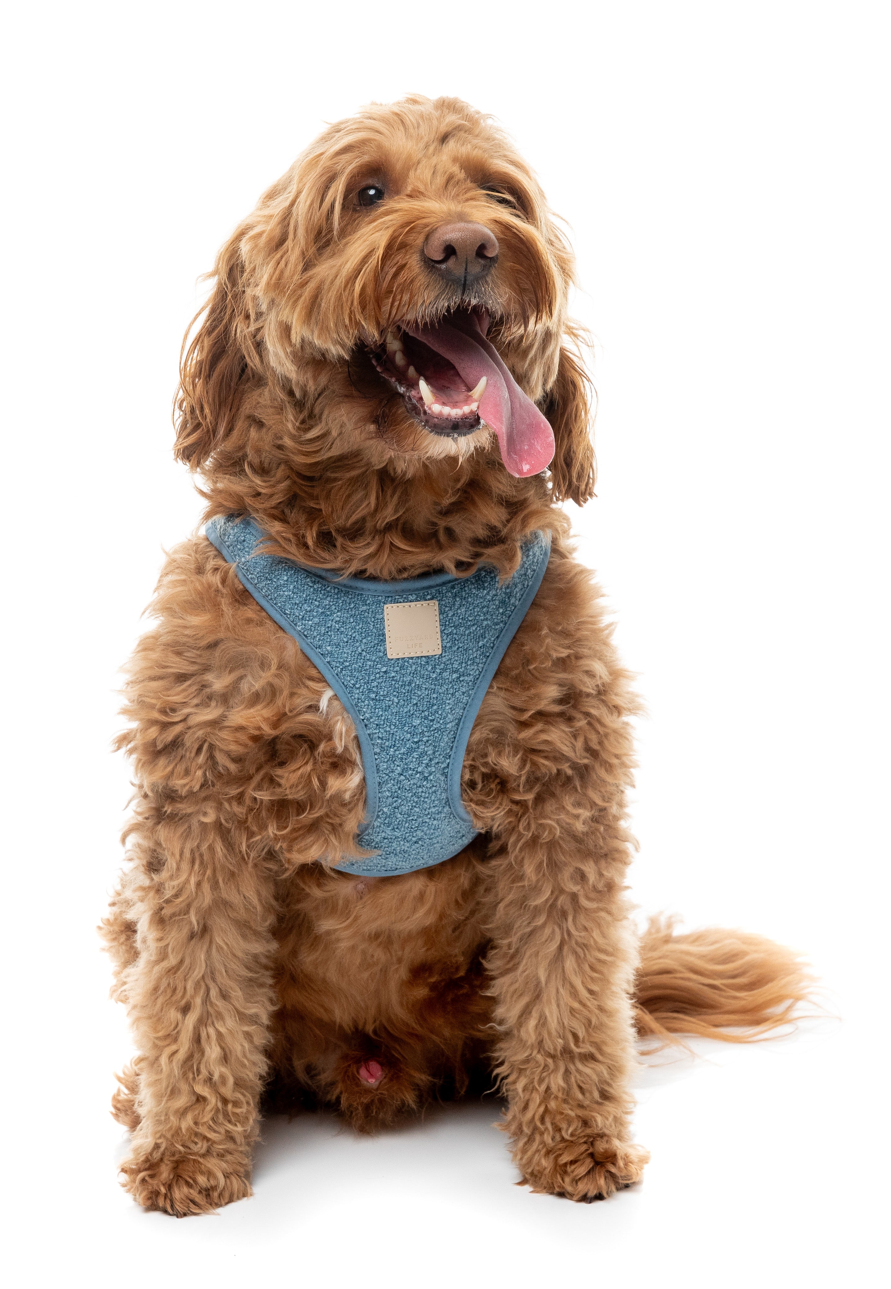 FuzzYard Life Boucle Step-In Harness - French Blue