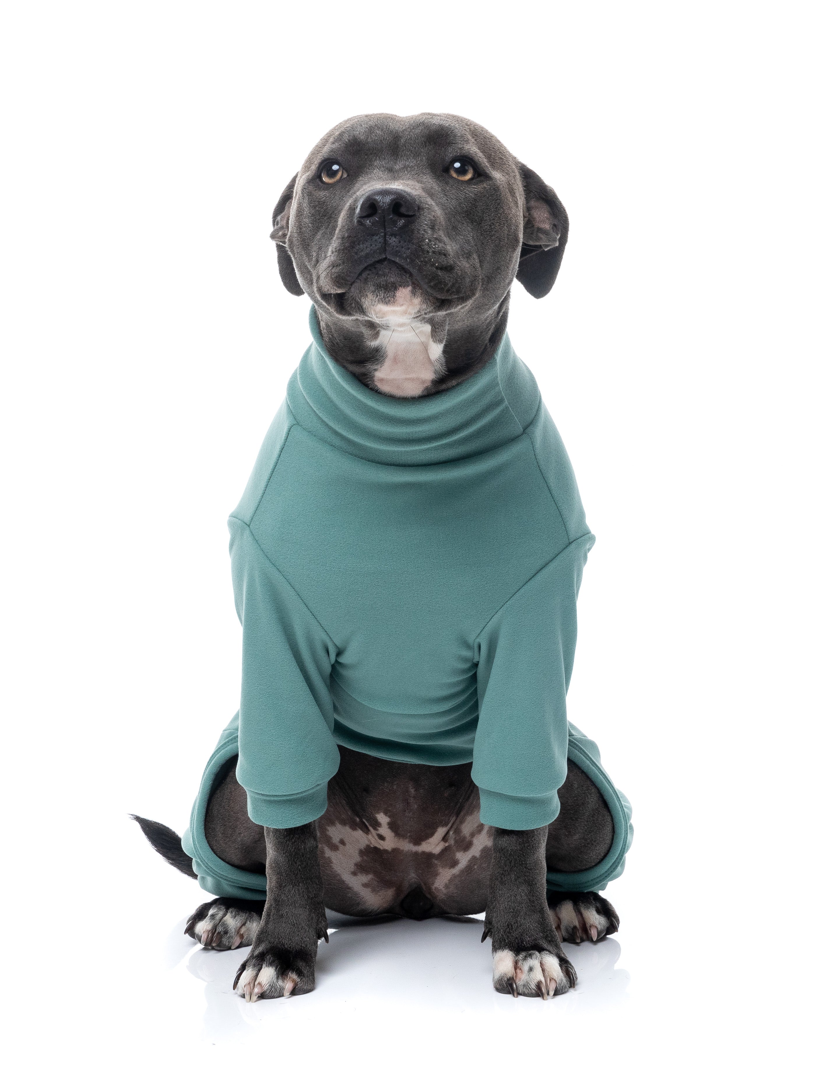 FuzzYard Life Soft Touch Pyjamas - Myrtle Green