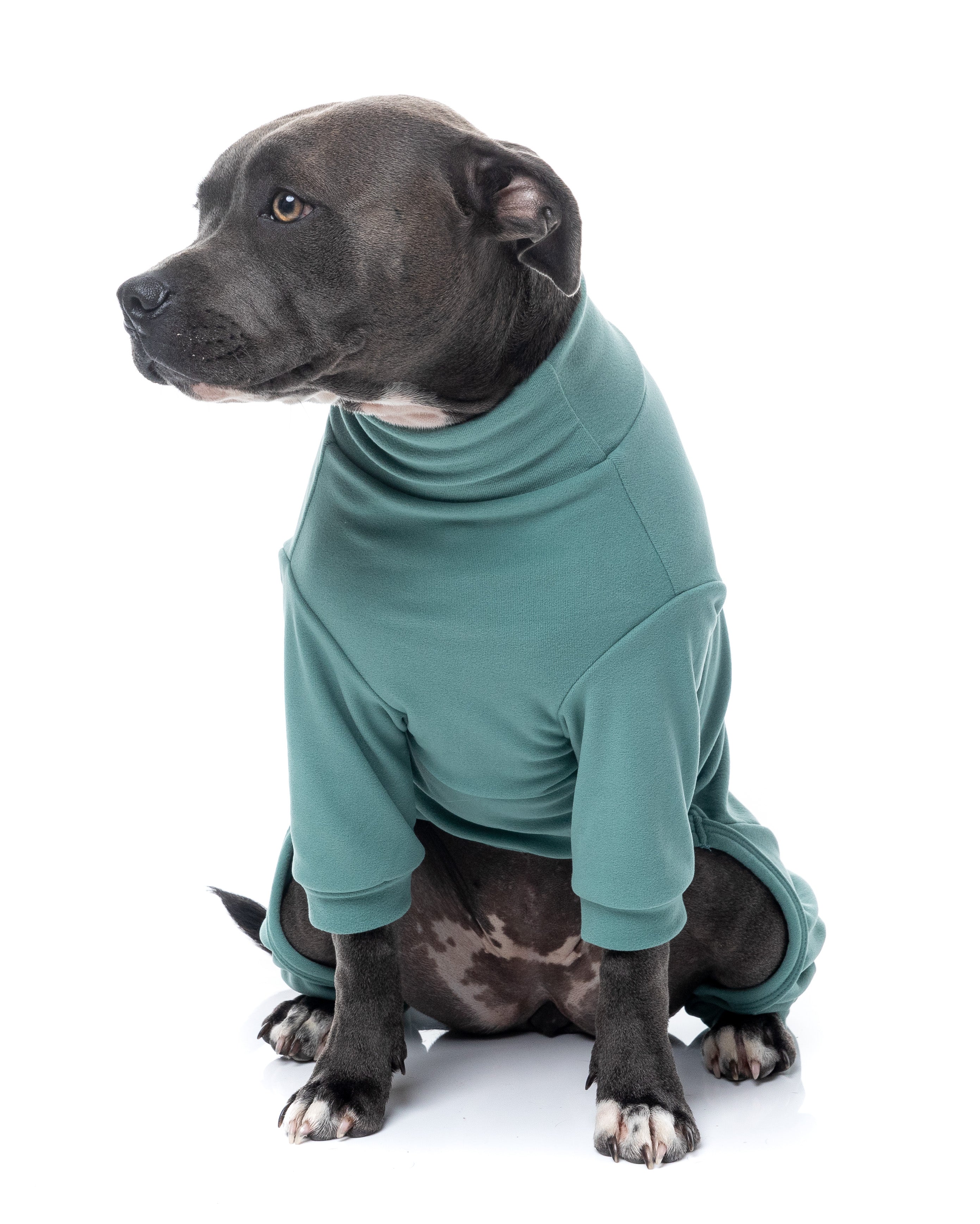 FuzzYard Life Soft Touch Pyjamas - Myrtle Green
