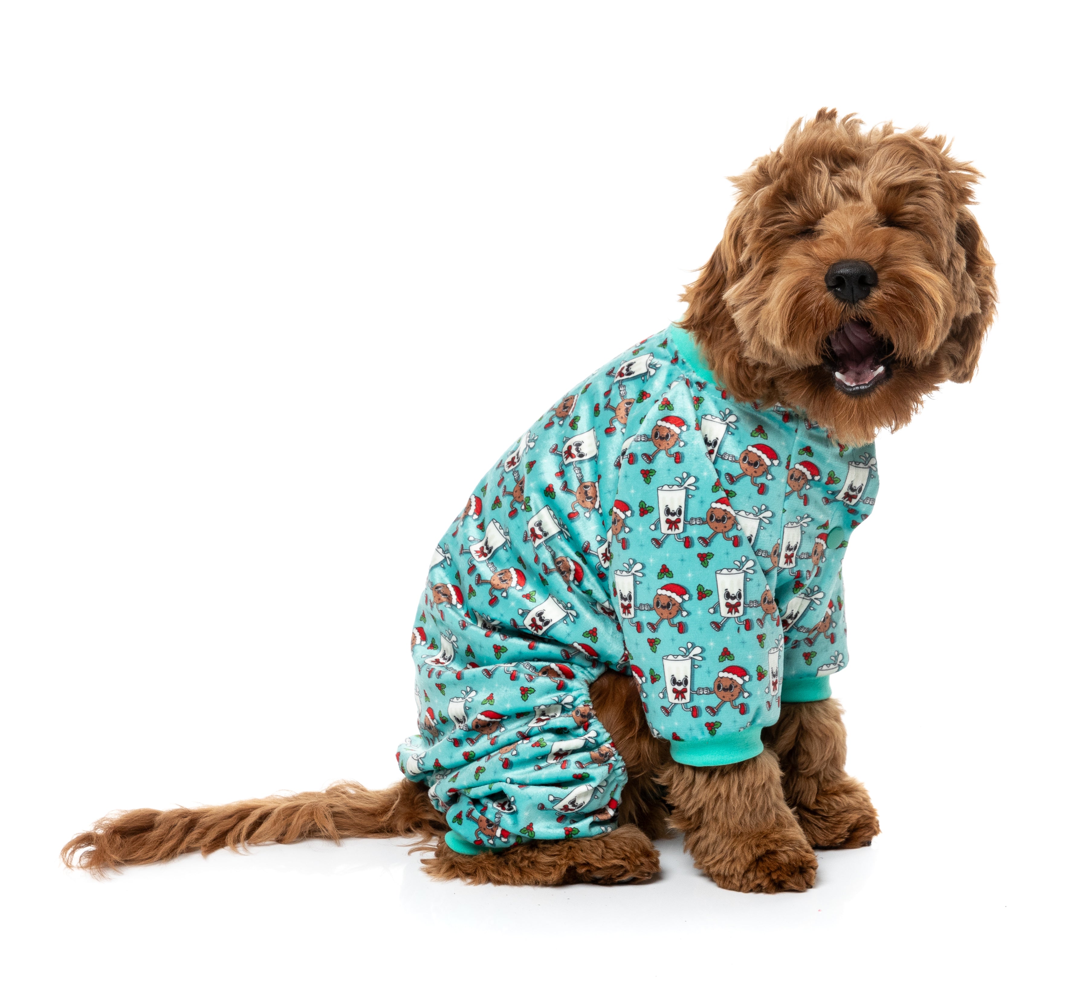 FuzzYard Pajamas - Santas Snacks Pyjama