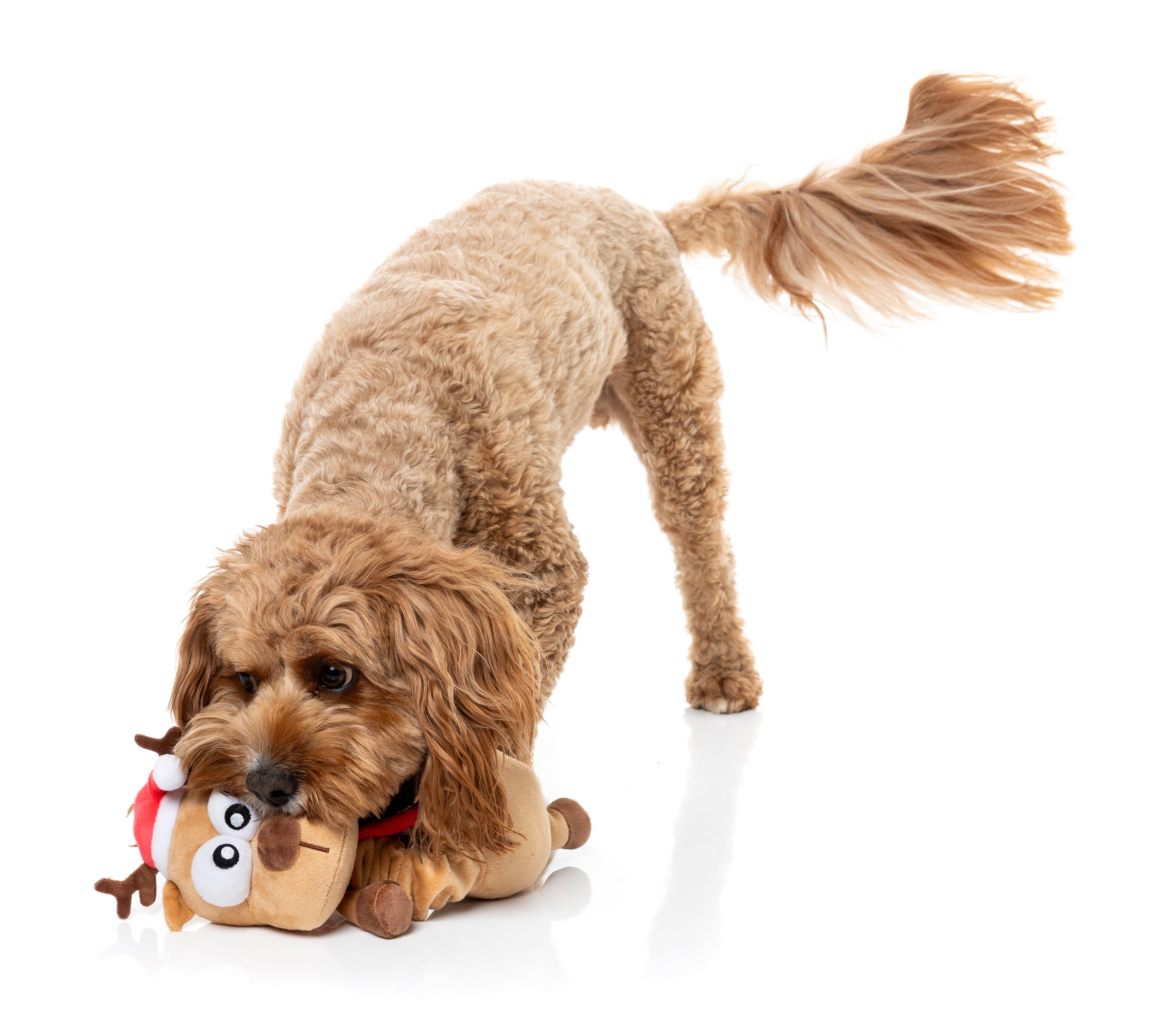 Fuzzyard Dog Toy - Domineck The Reindeer