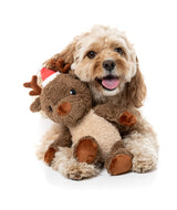 Fuzzyard Dog Toy - Ralph The Reindeer