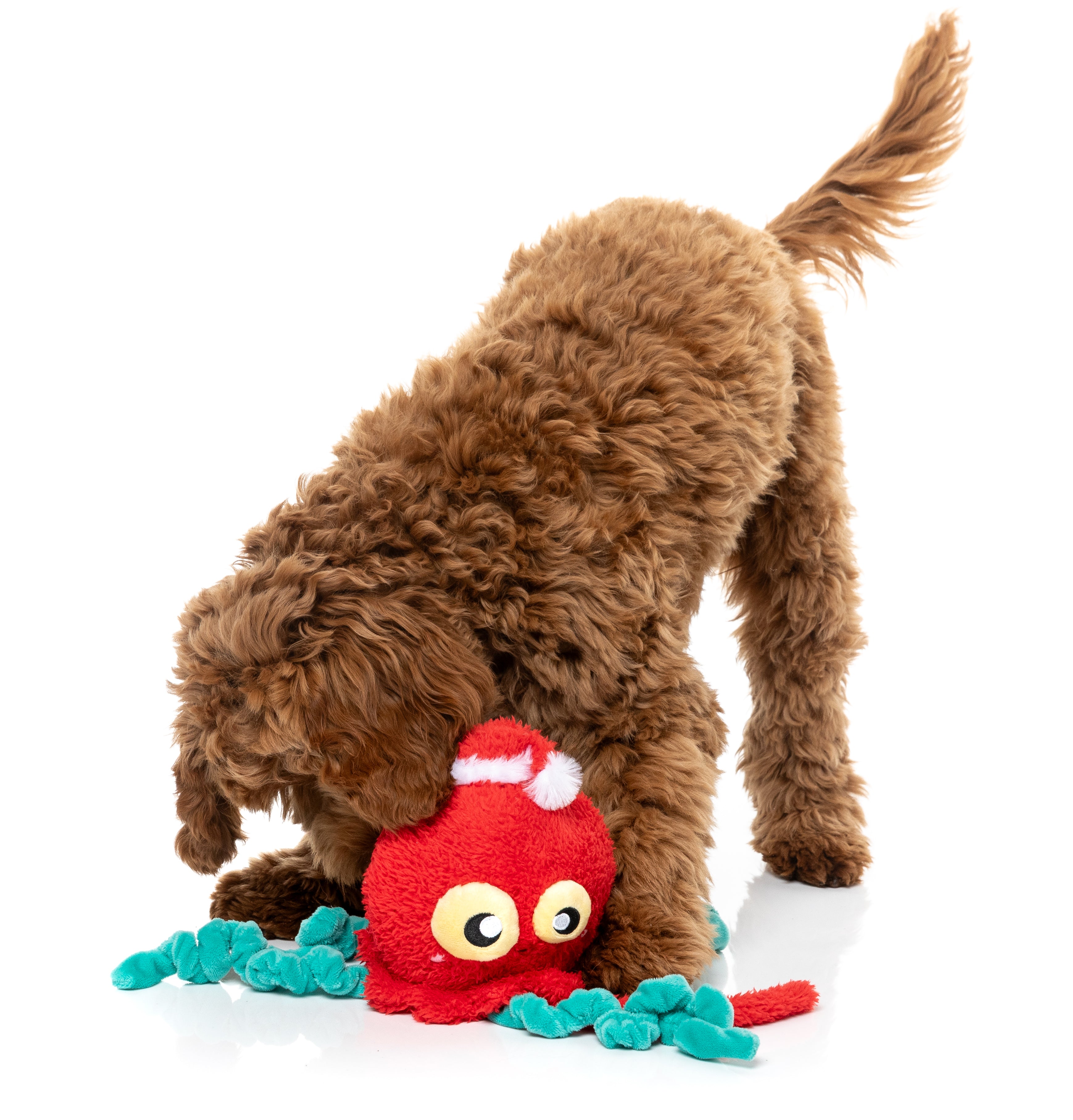 Fuzzyard Dog Toy - Jollyfish