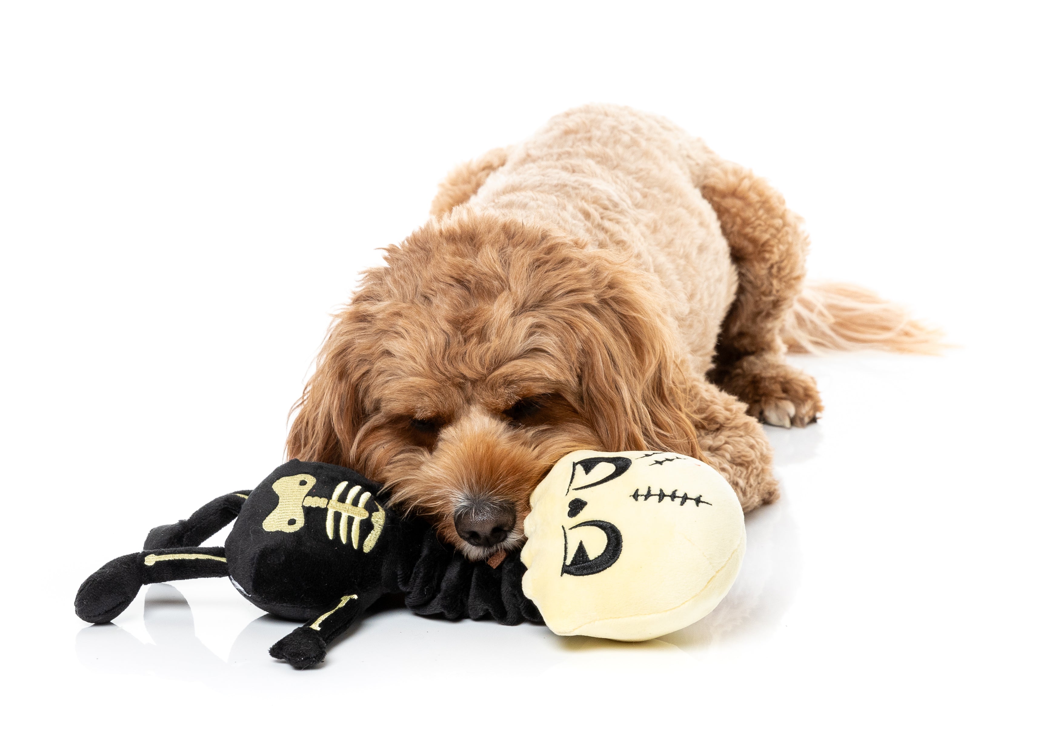 FuzzYard Dog Toy - Jerry Spinefield