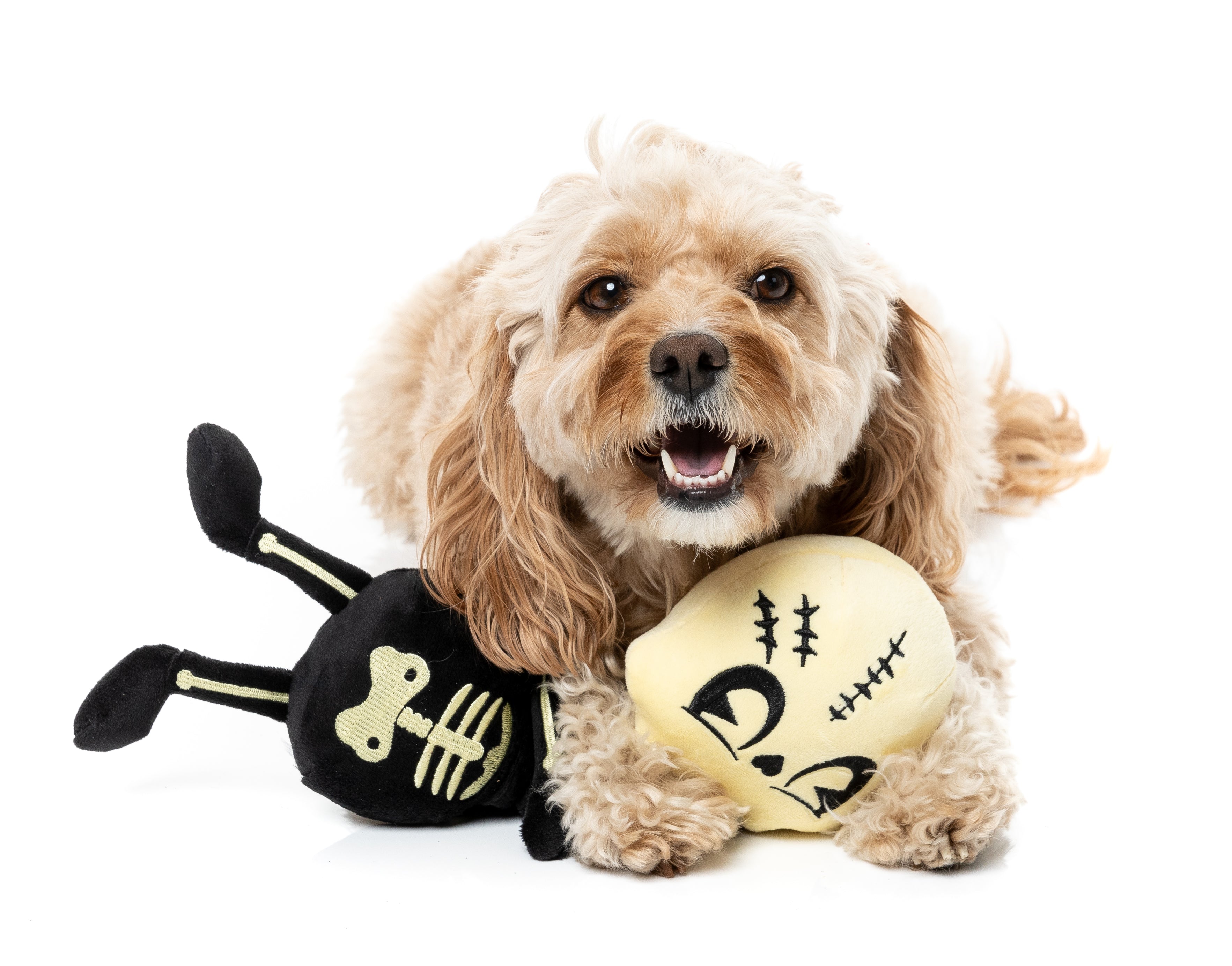 FuzzYard Dog Toy - Jerry Spinefield