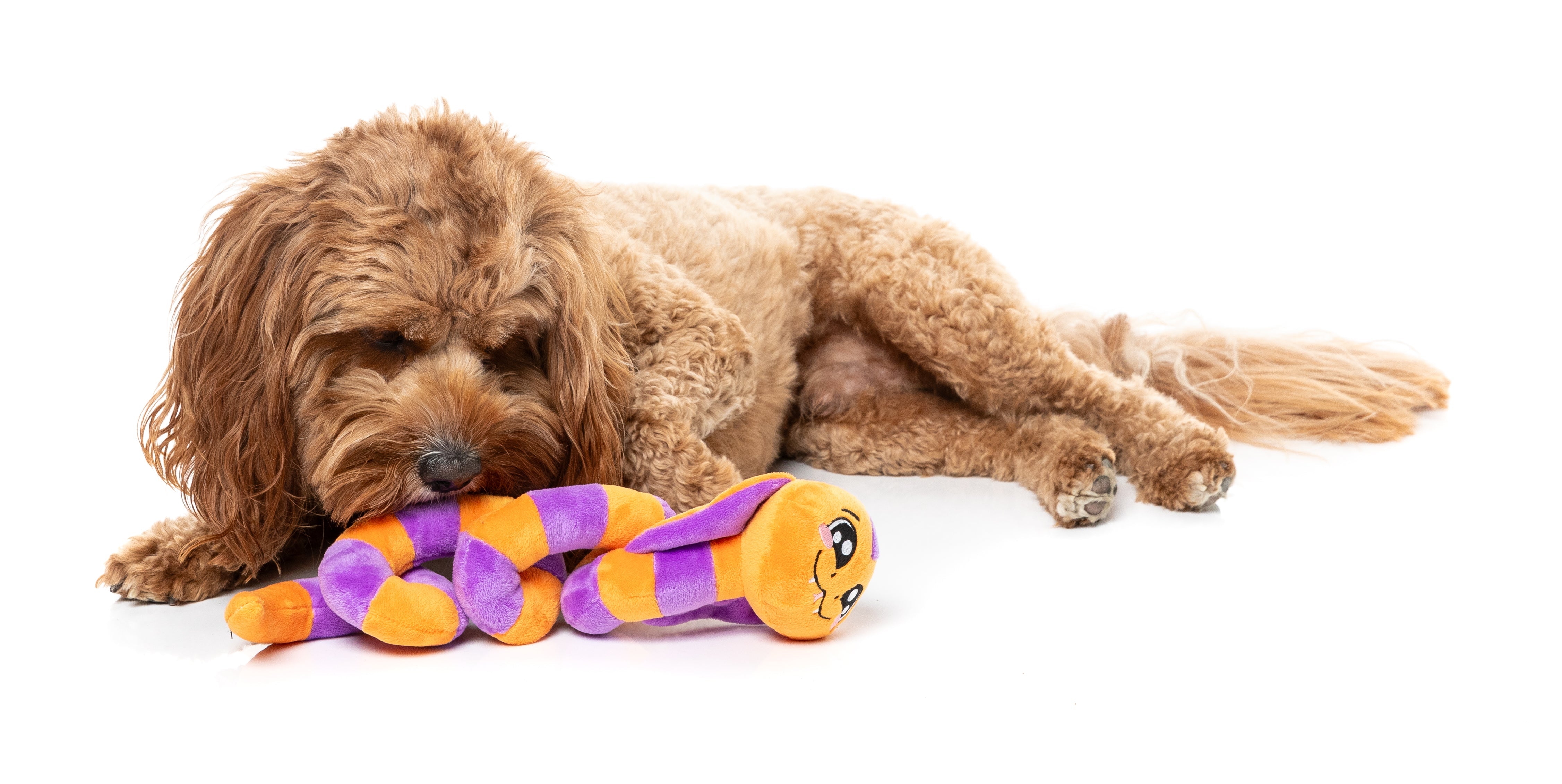 FuzzYard Dog Toy - Sss-Teven-The-Snake
