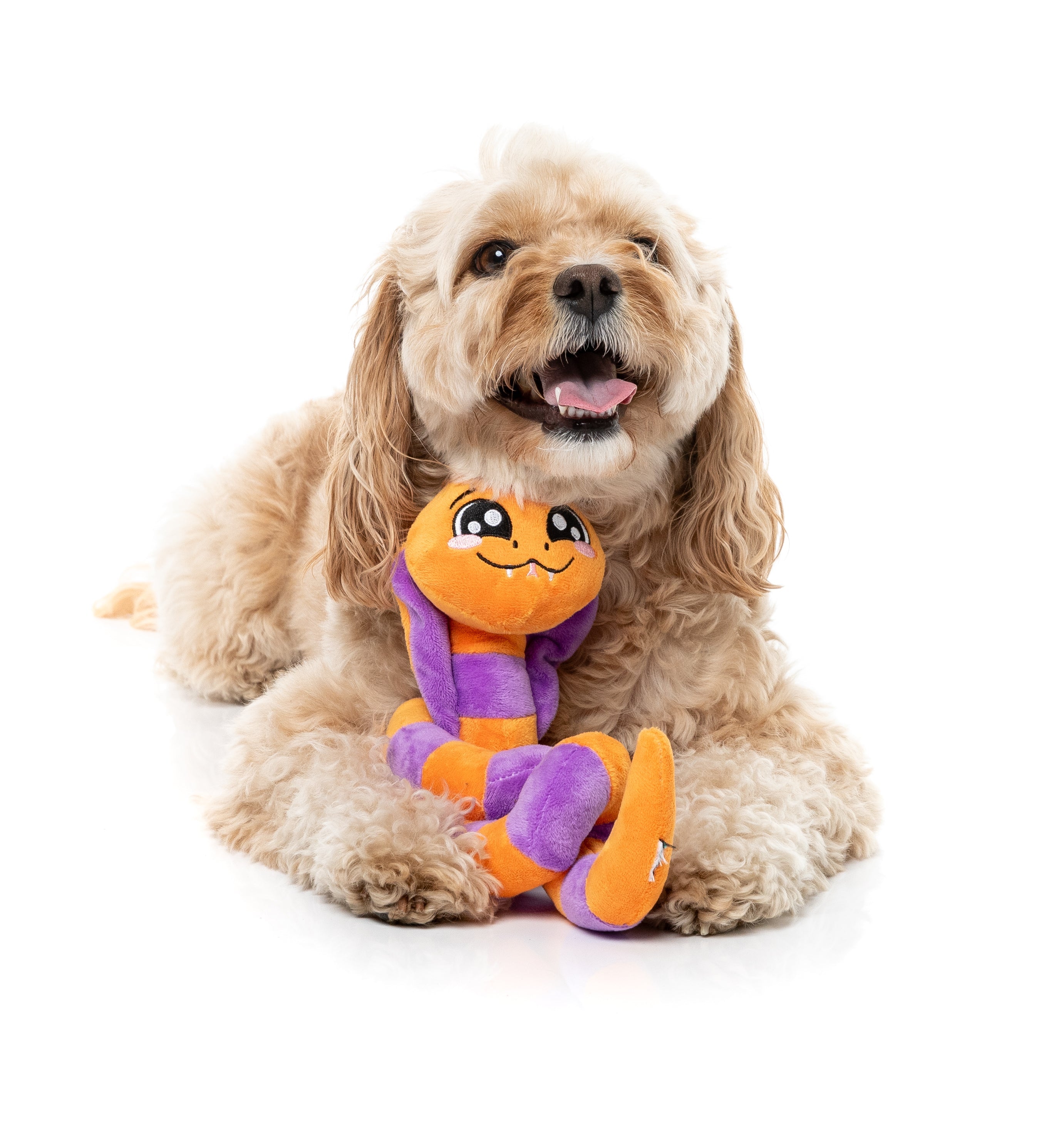 FuzzYard Dog Toy - Sss-Teven-The-Snake