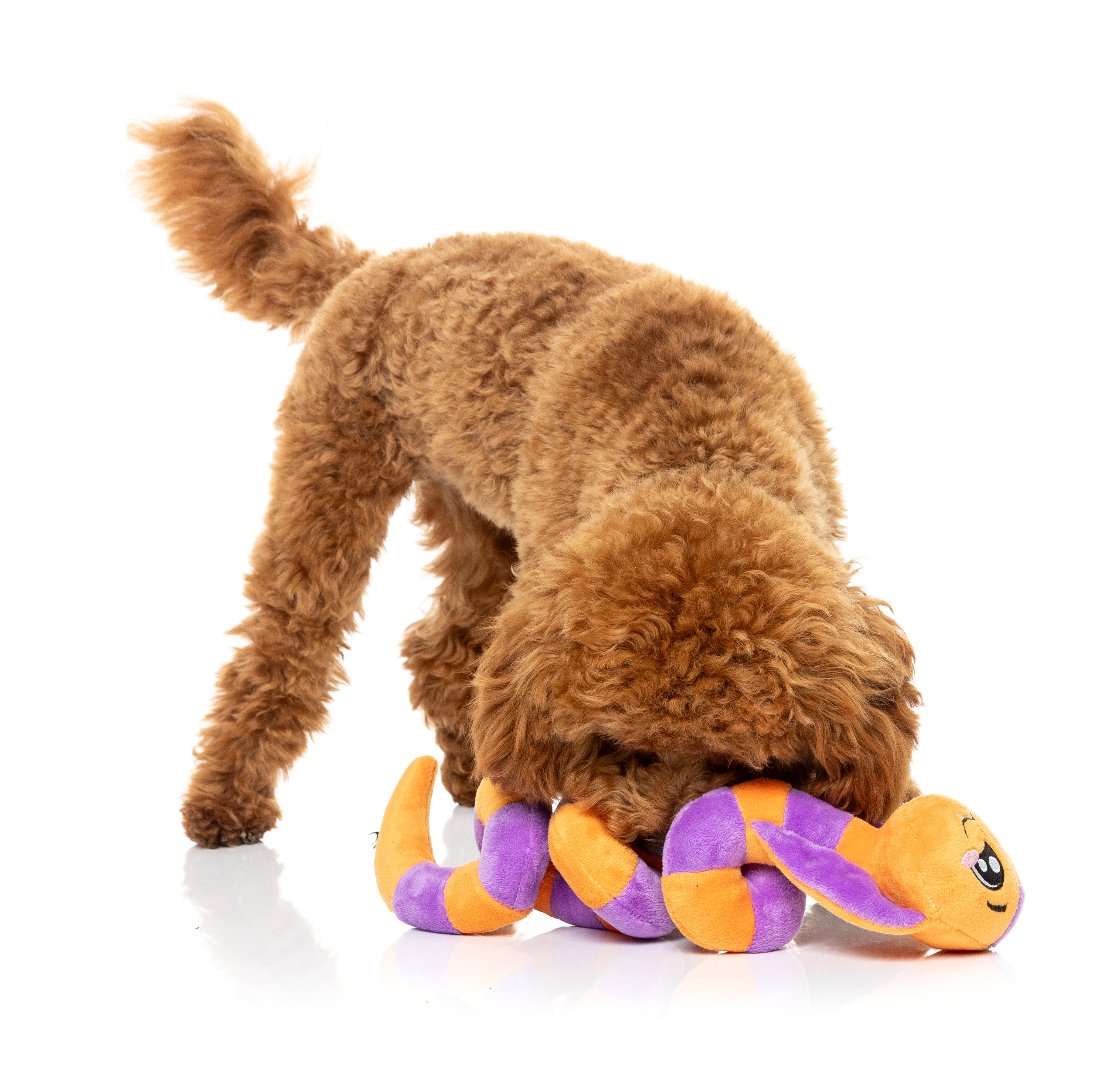 FuzzYard Dog Toy - Sss-Teven-The-Snake
