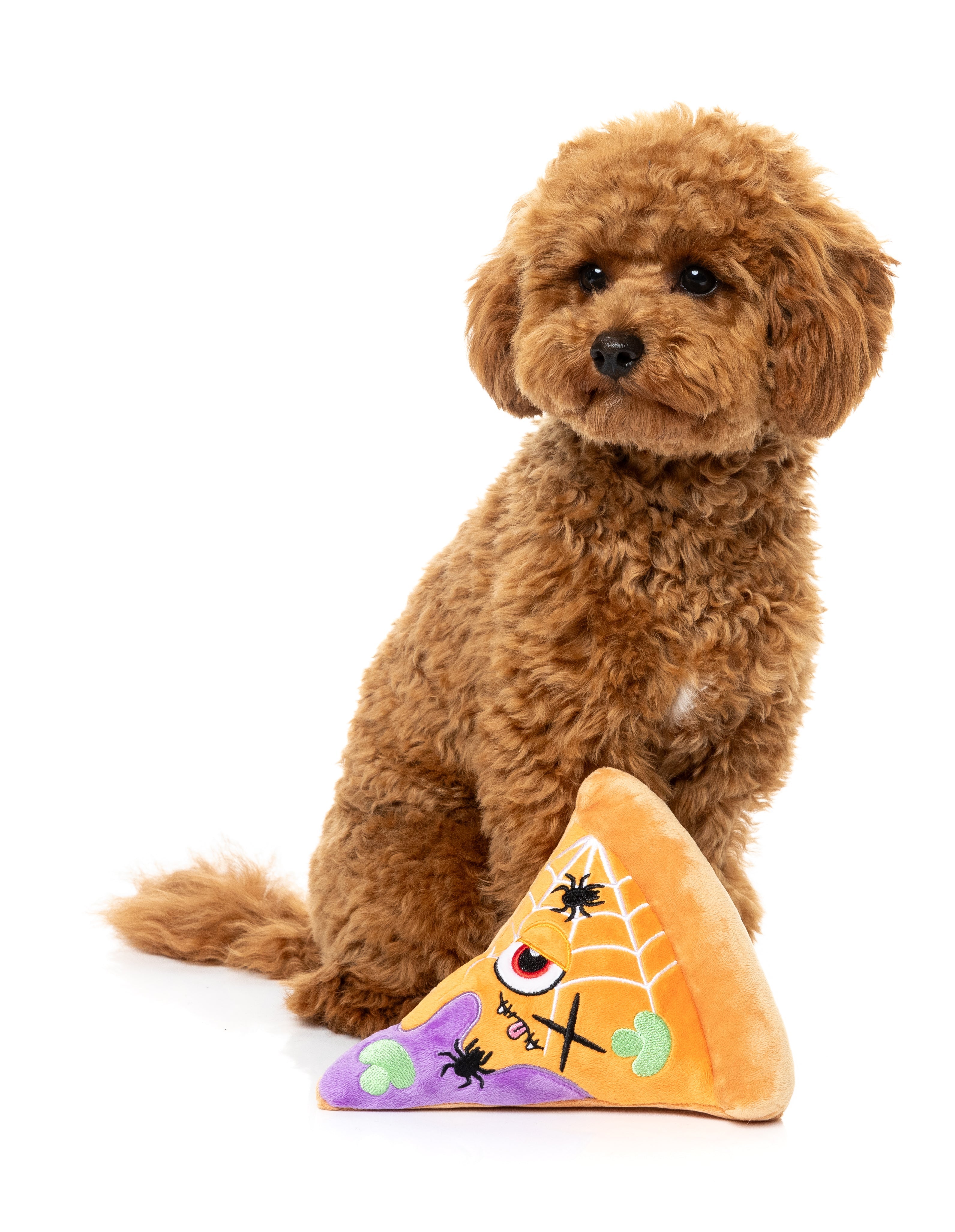 FuzzYard Dog Toy - Web-Eroni Pizza