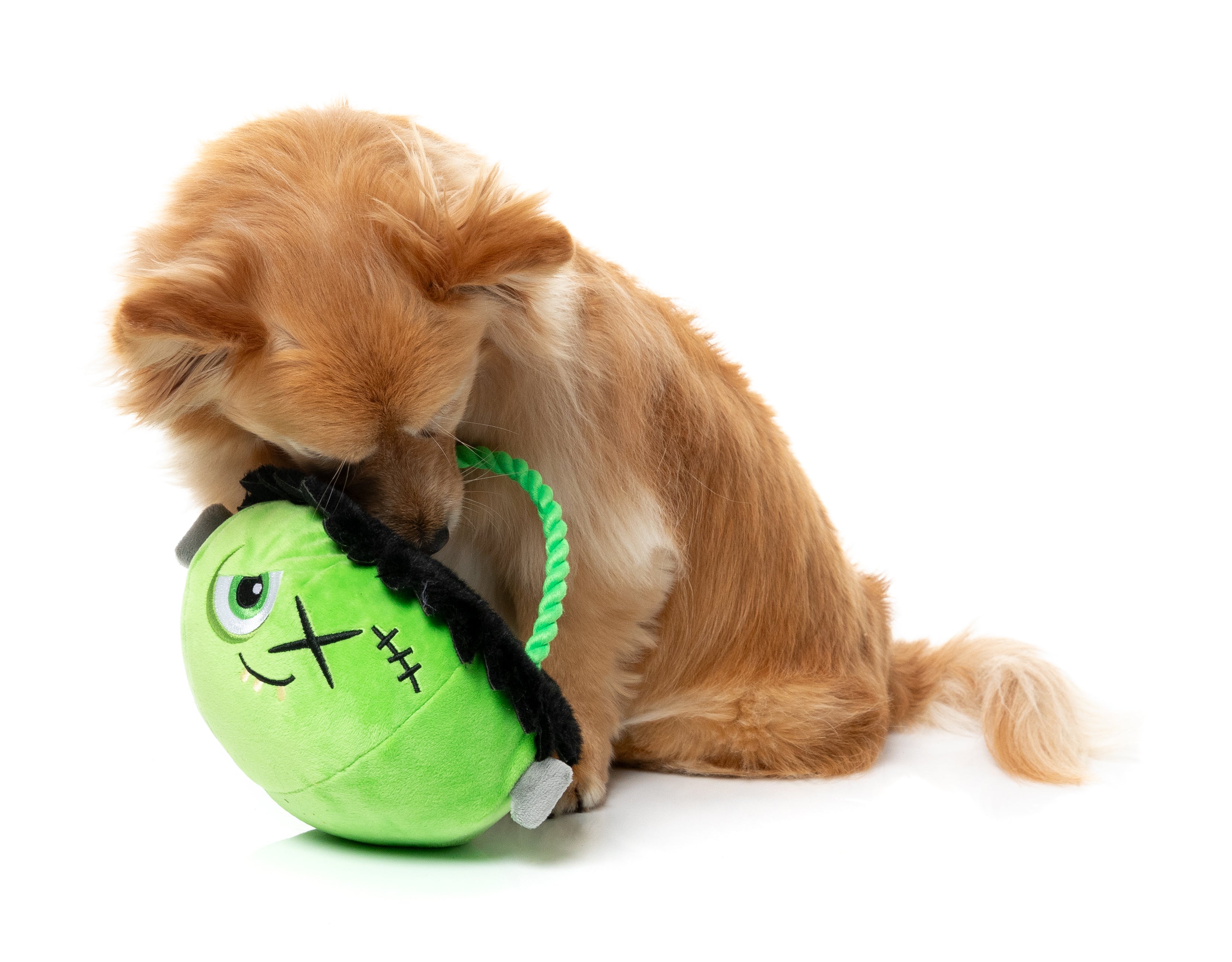 FuzzYard Dog Toy - Franken Basket