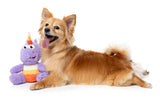 FuzzYard Dog Toy - Candy Corn Electra