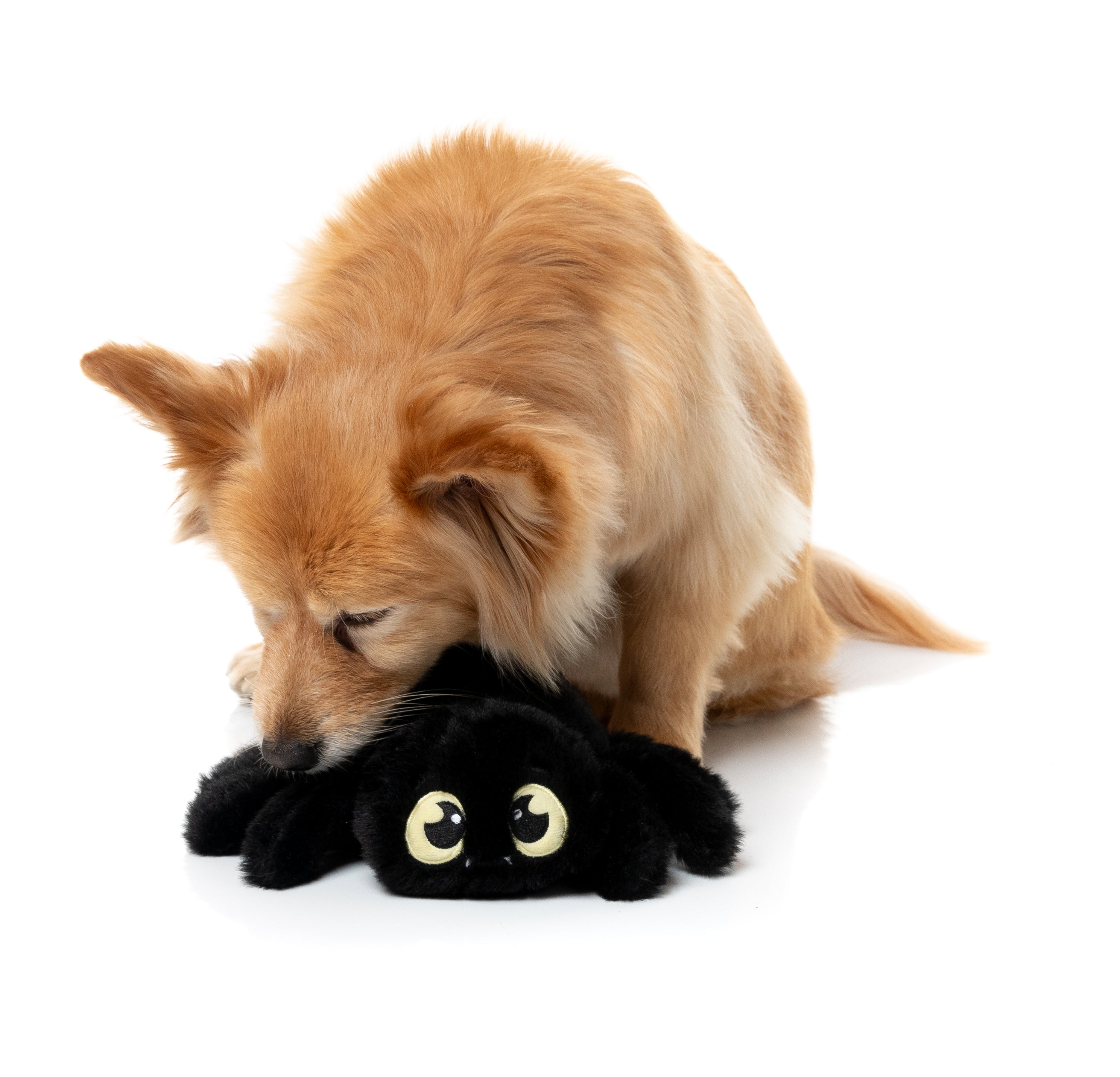 FuzzYard Dog Toy - Webastian The Redback