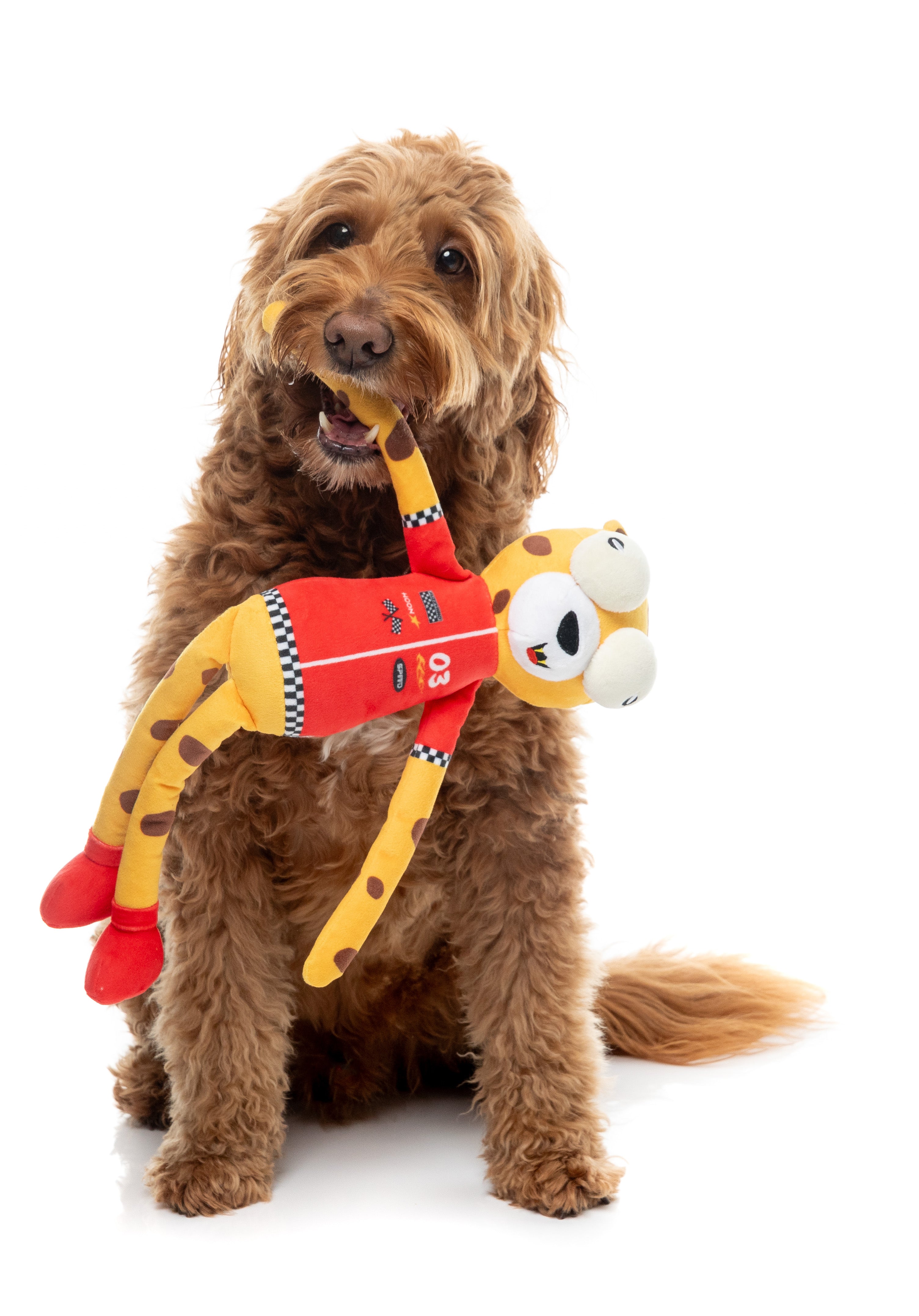 Dog Toy - Lewis The Drift-Tah