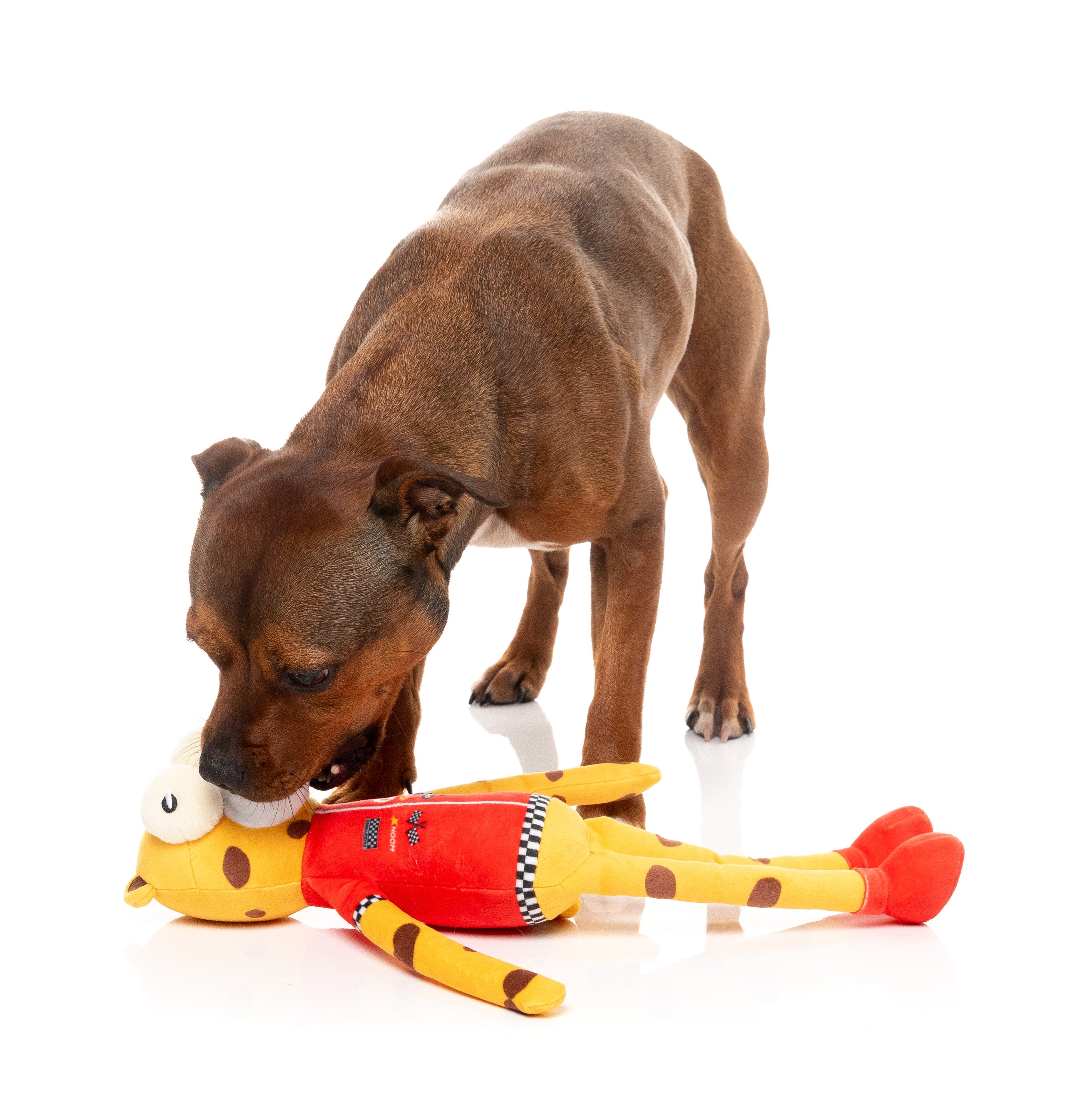 Dog Toy - Lewis The Drift-Tah