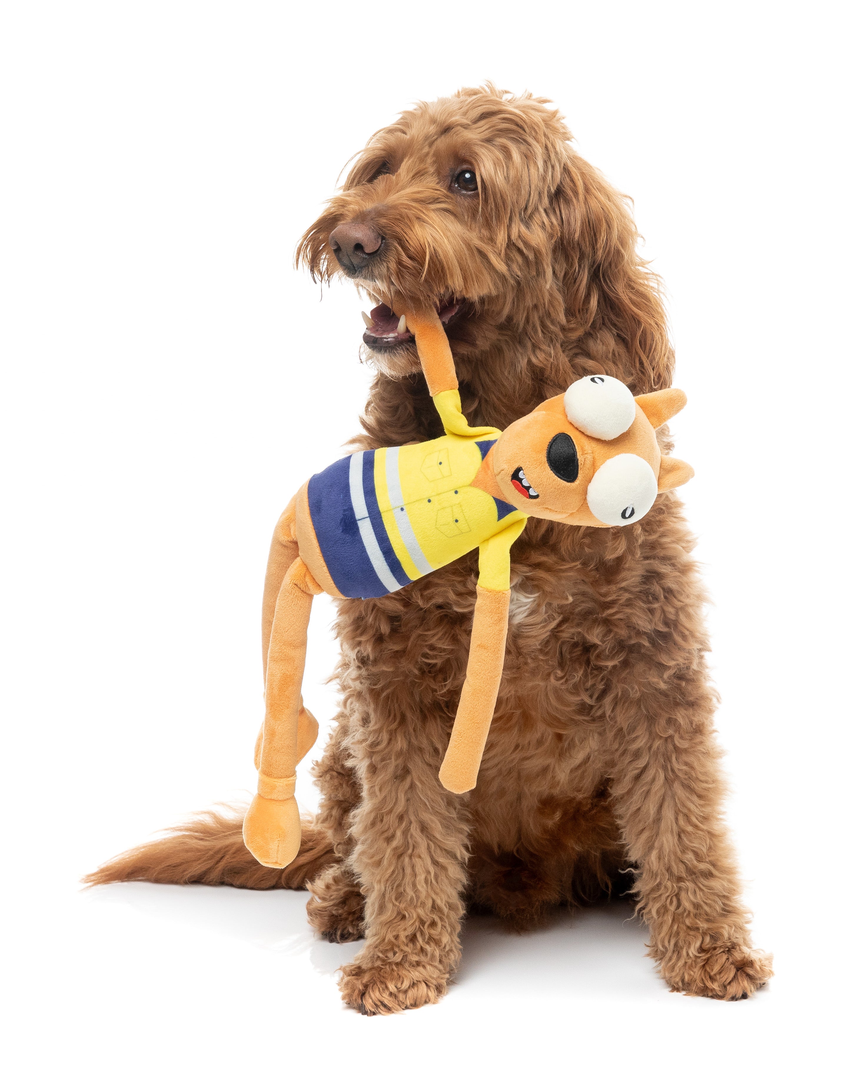 Dog Toy - Haz The Roo-Fer