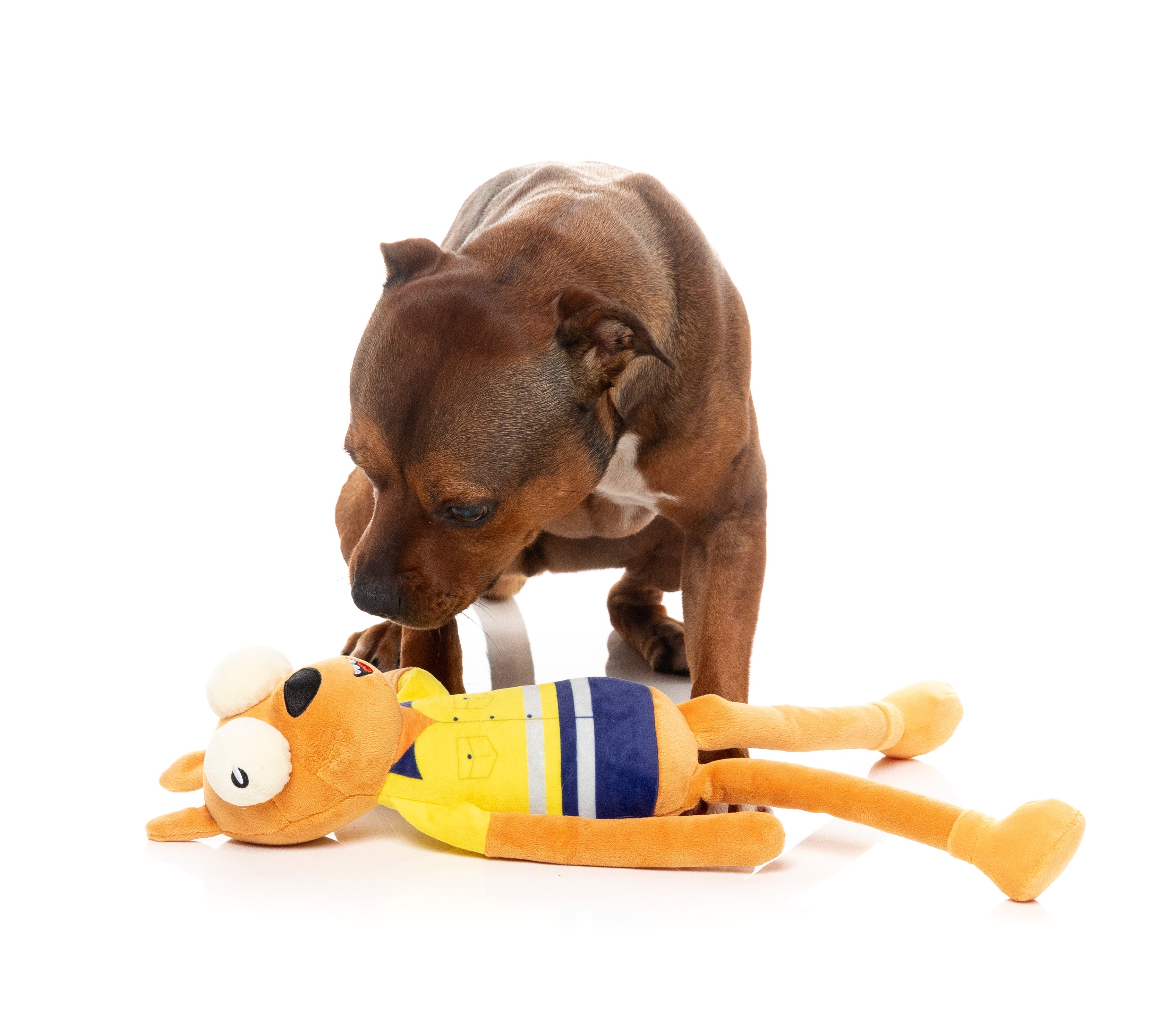 Dog Toy - Haz The Roo-Fer
